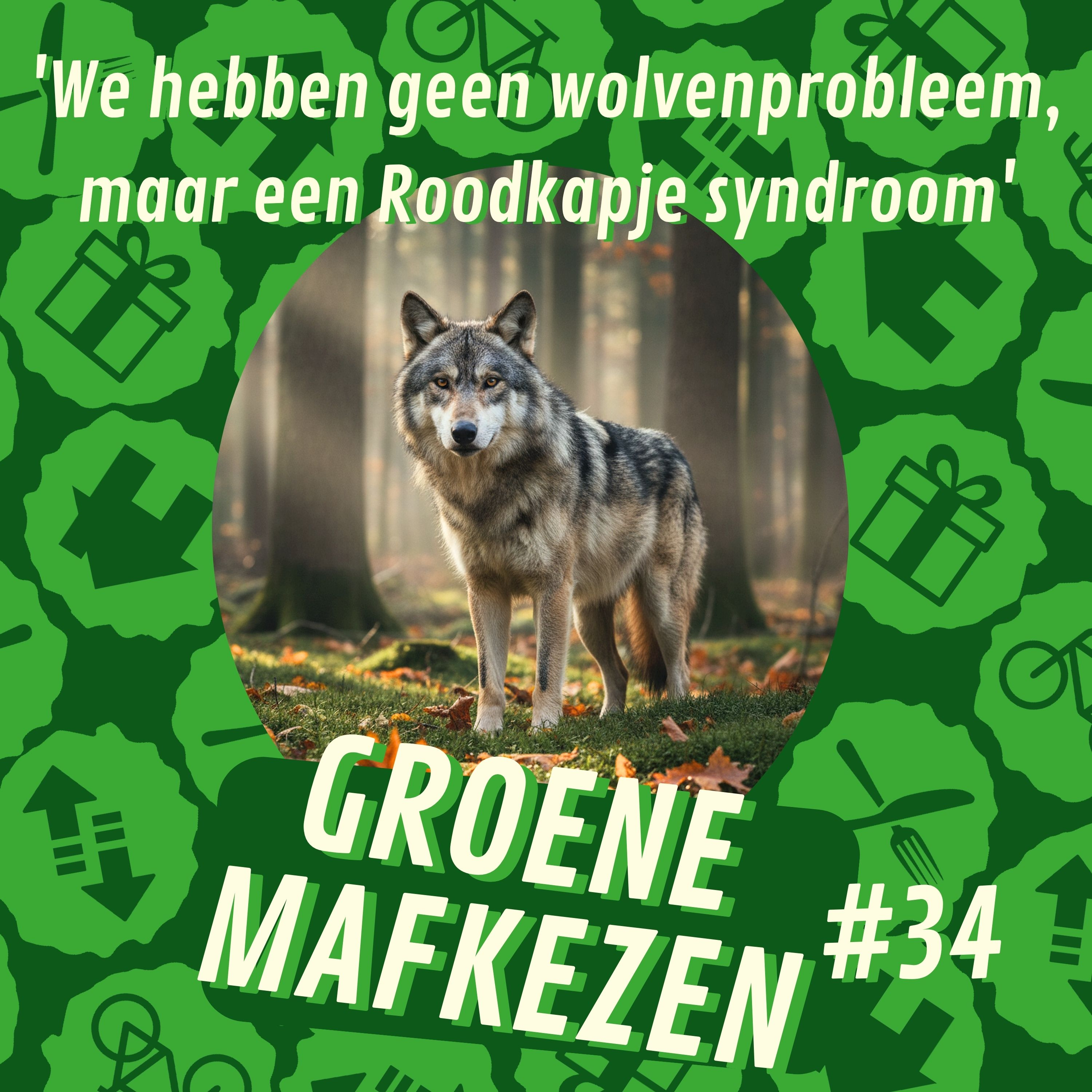 aflevering 34: 'We hebben geen wolvenprobleem, maar een Roodkapje syndroom' episode artwork