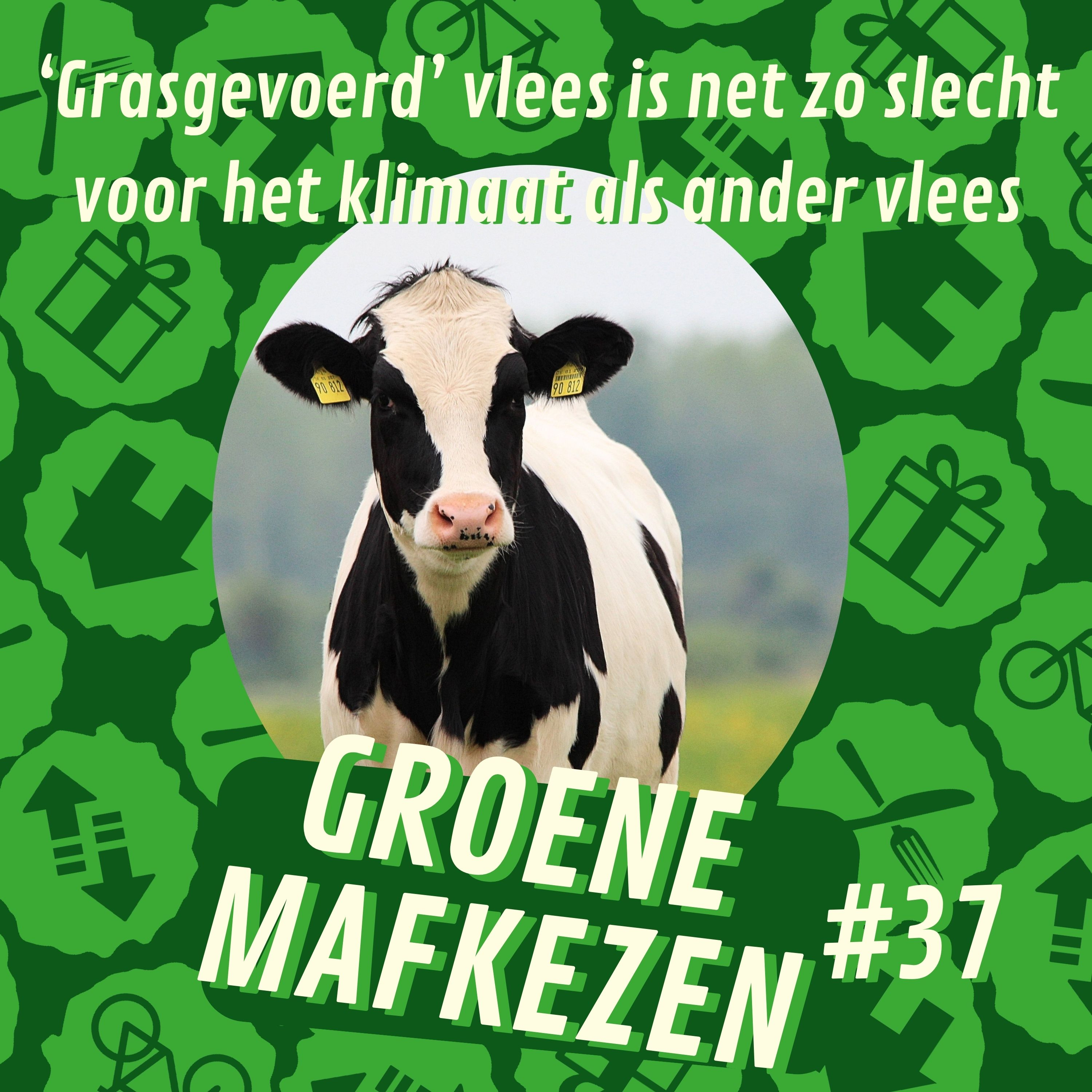 aflevering 37: ‘Grasgevoerd’ vlees is net zo slecht voor het klimaat als ander vlees