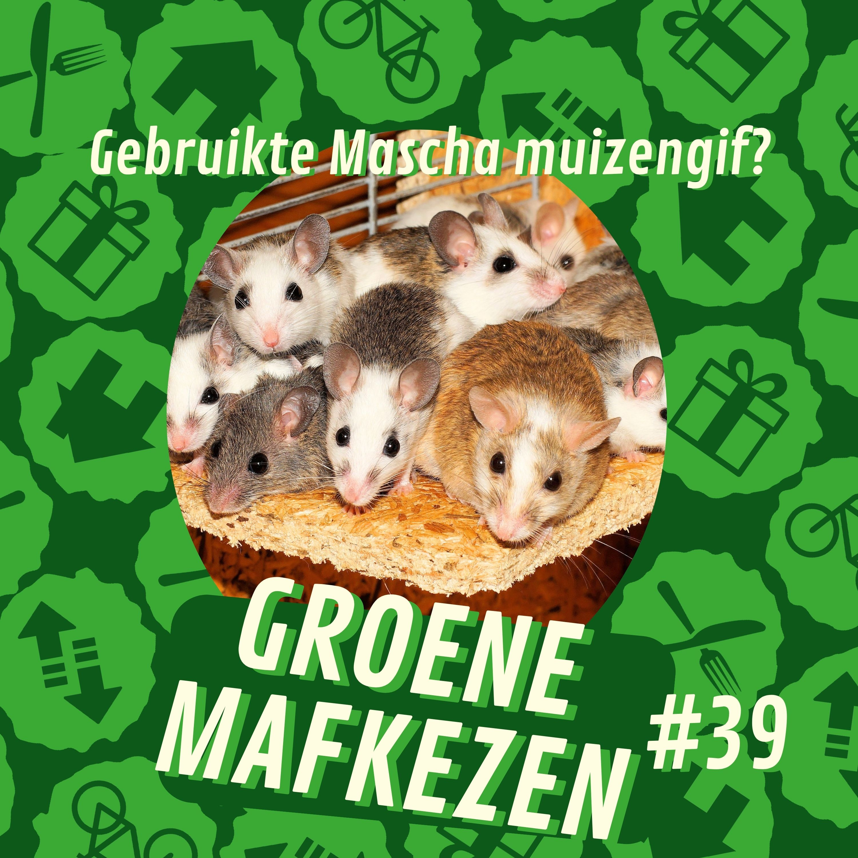 aflevering 39: Gebruikte Mascha muizengif? episode artwork