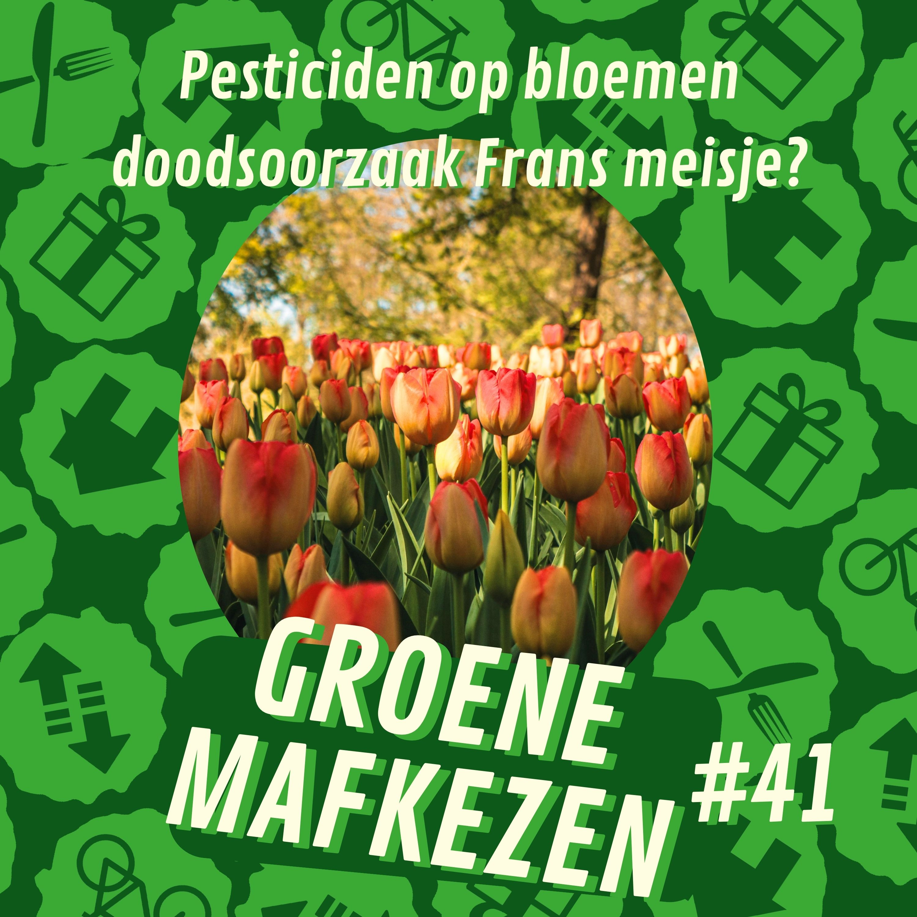aflevering 41: Pesticiden op bloemen doodsoorzaak Frans meisje?