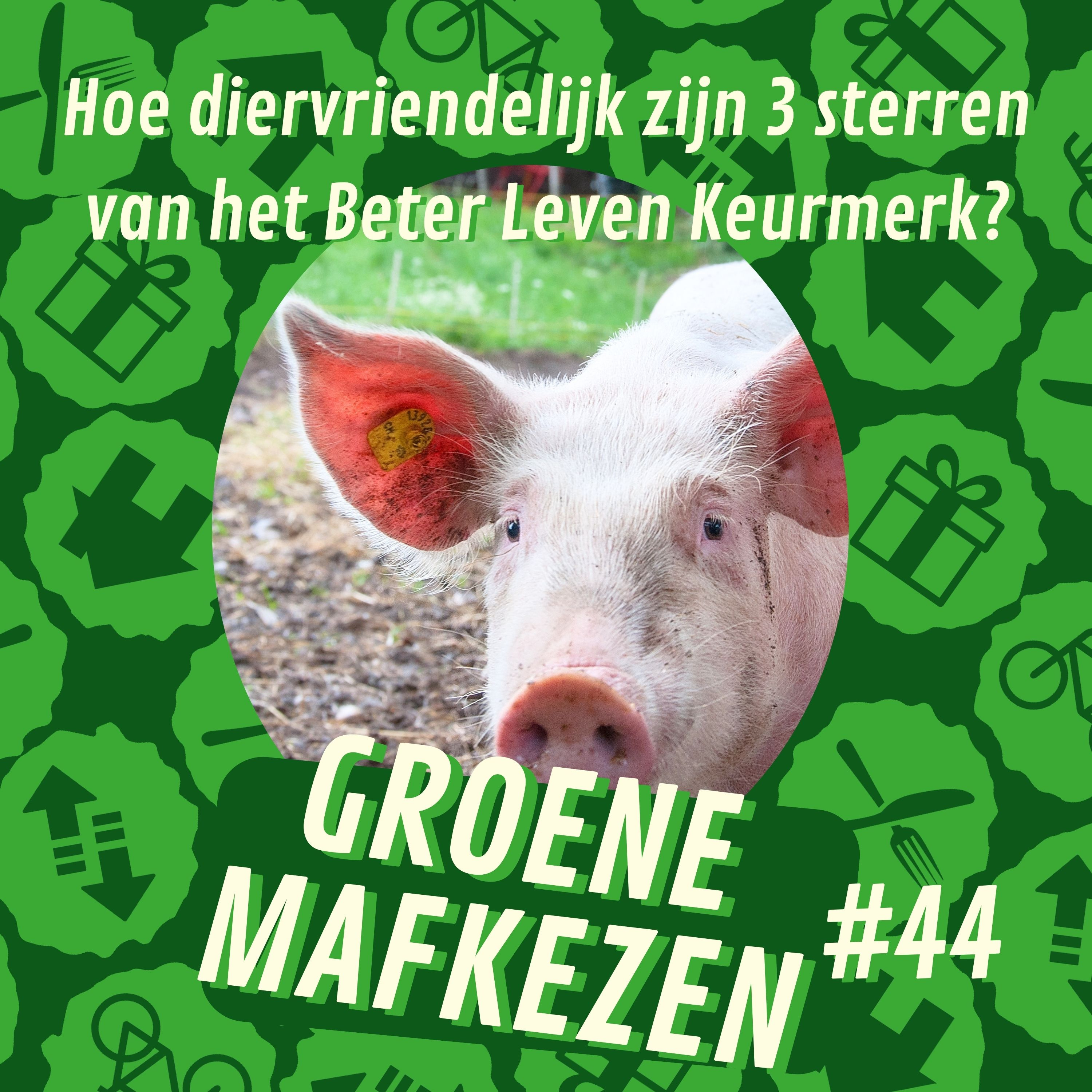 aflevering 44: Hoe diervriendelijk zijn drie sterren van het Beter Leven Keurmerk?