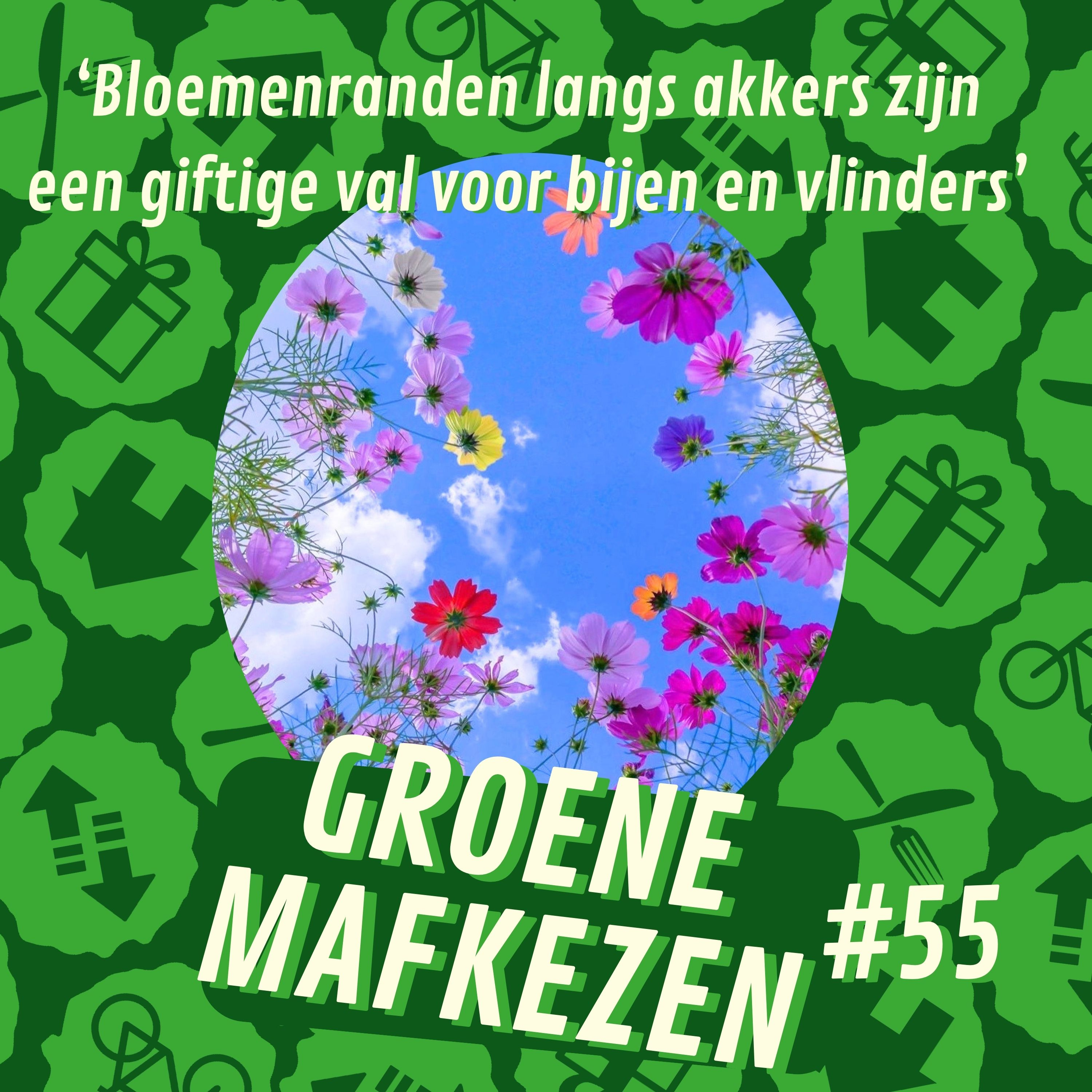 aflevering 55: ‘Bloemenranden langs akkers zijn een giftige val voor bijen en vlinders’