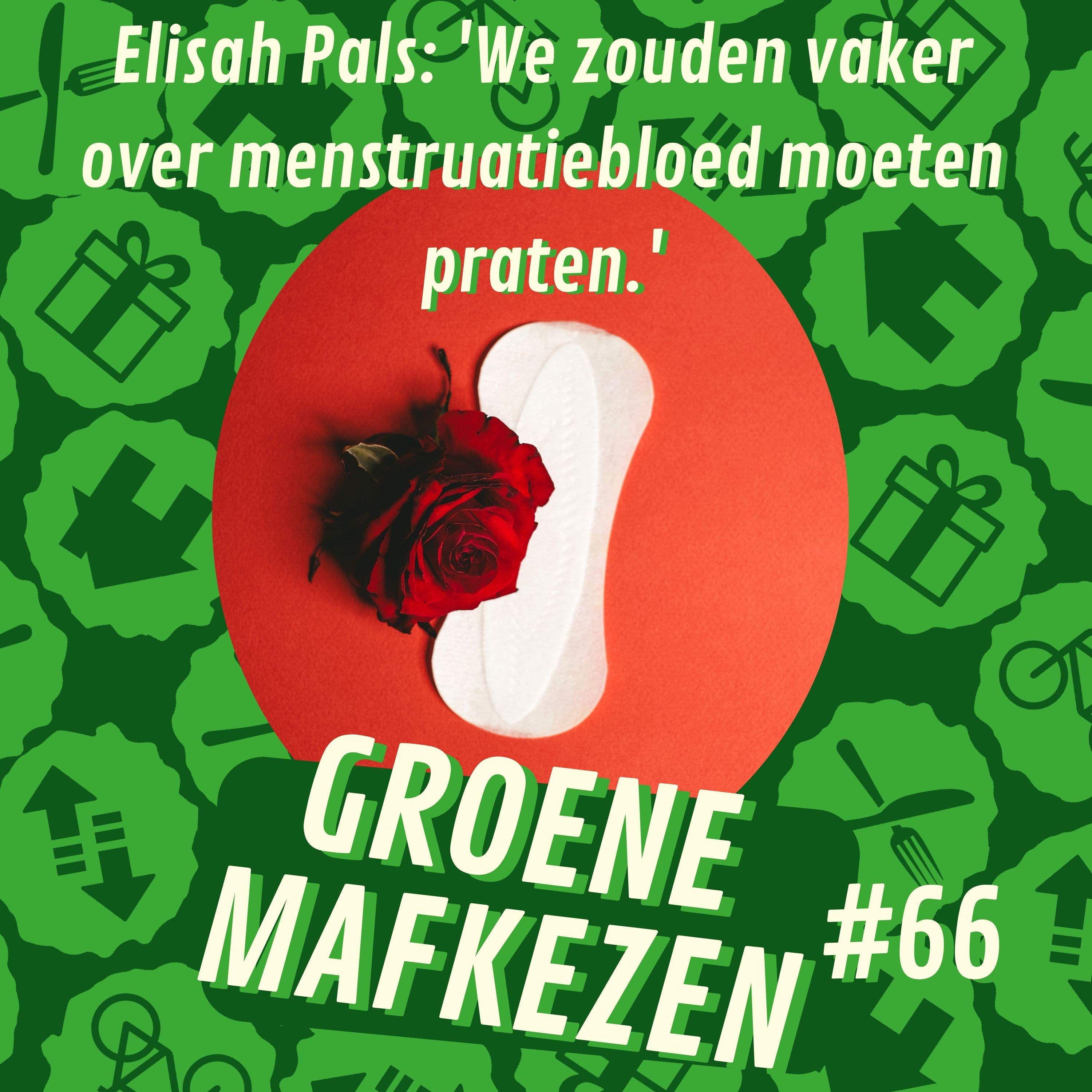 aflevering 66: Elisah Pals (Zero Waste NL) 'We zouden vaker over menstruatiebloed moeten praten' episode artwork