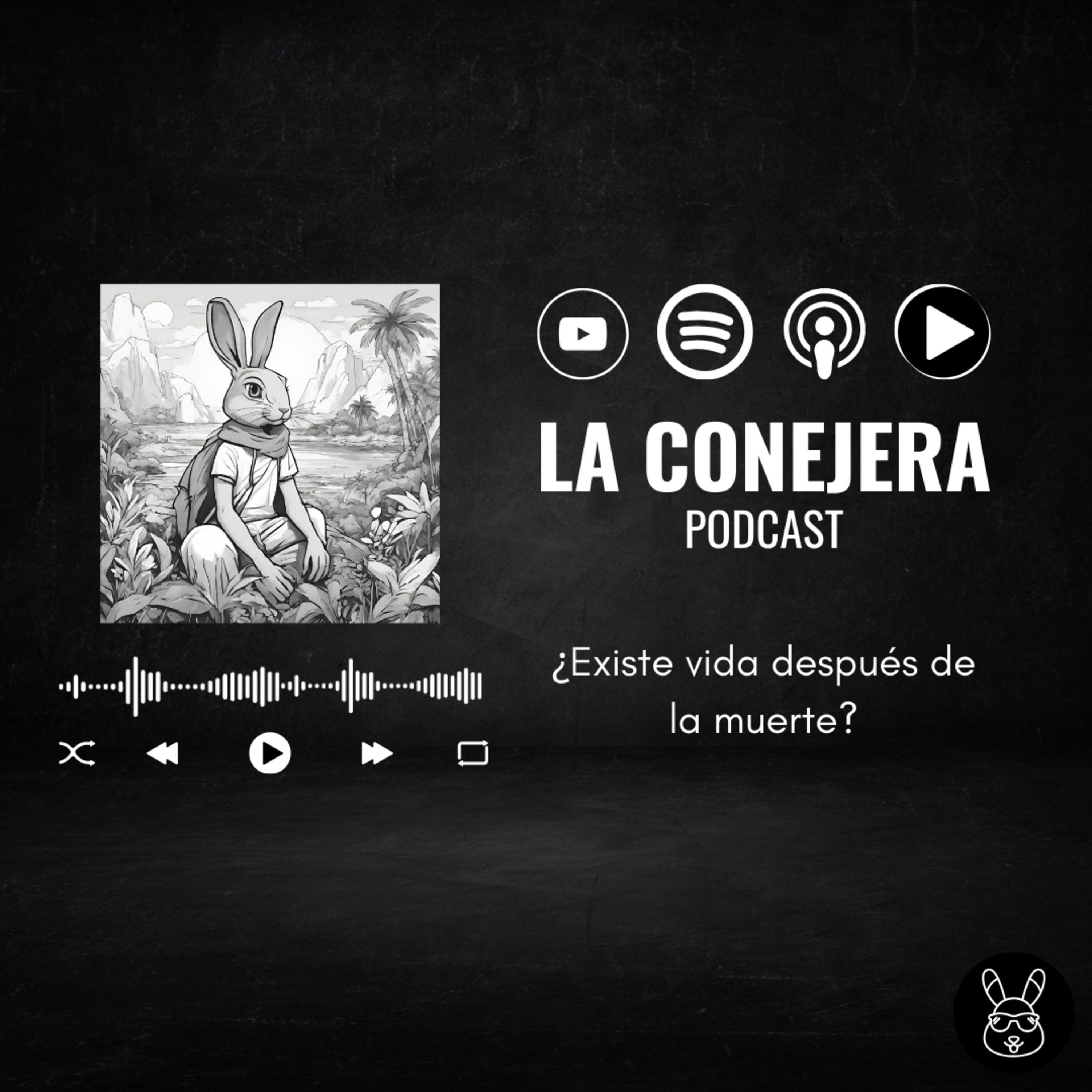 Ep.9 ¿Existe la vida después de la muerte? episode artwork