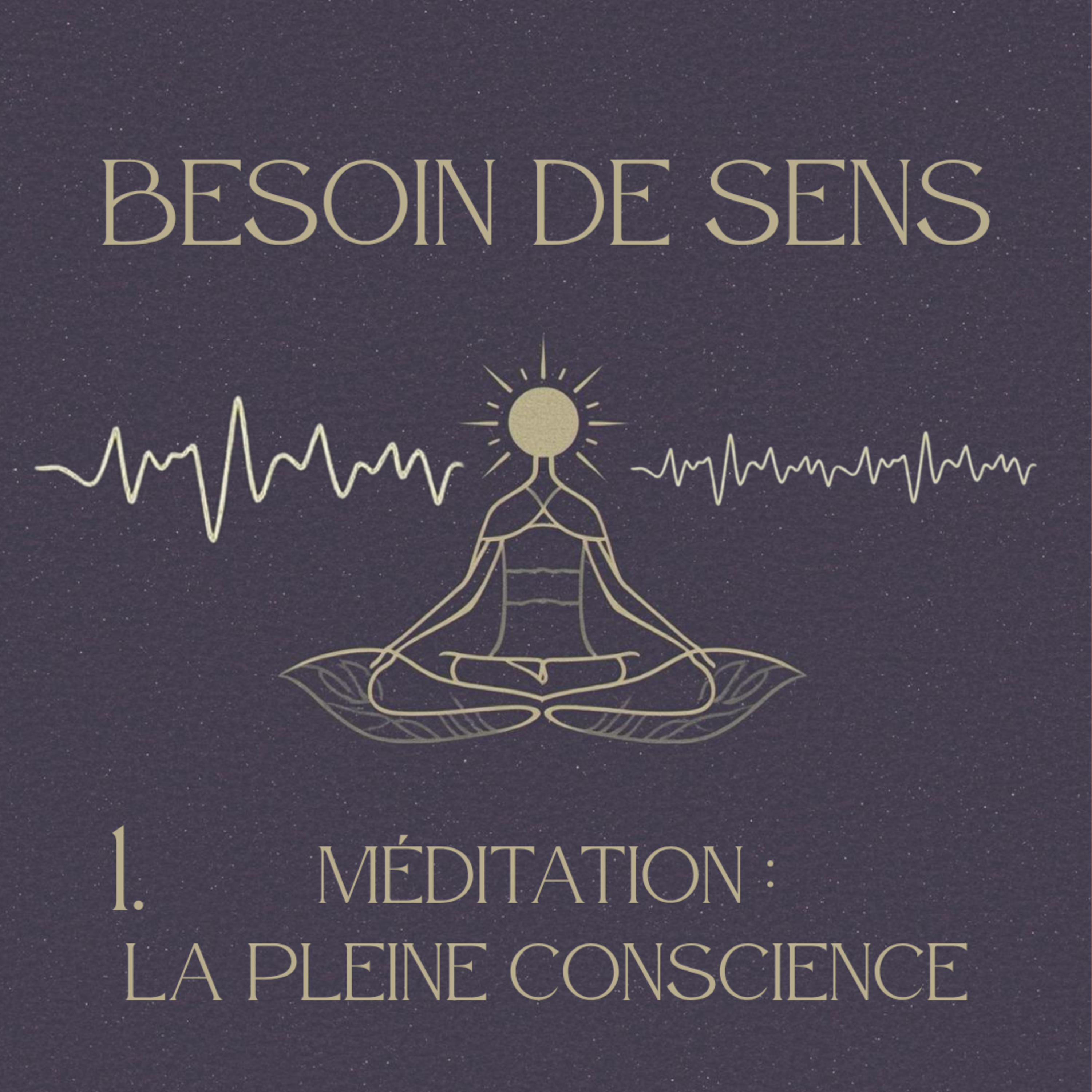 BESOIN DE SENS : 1. Méditation - La Pleine Conscience episode artwork