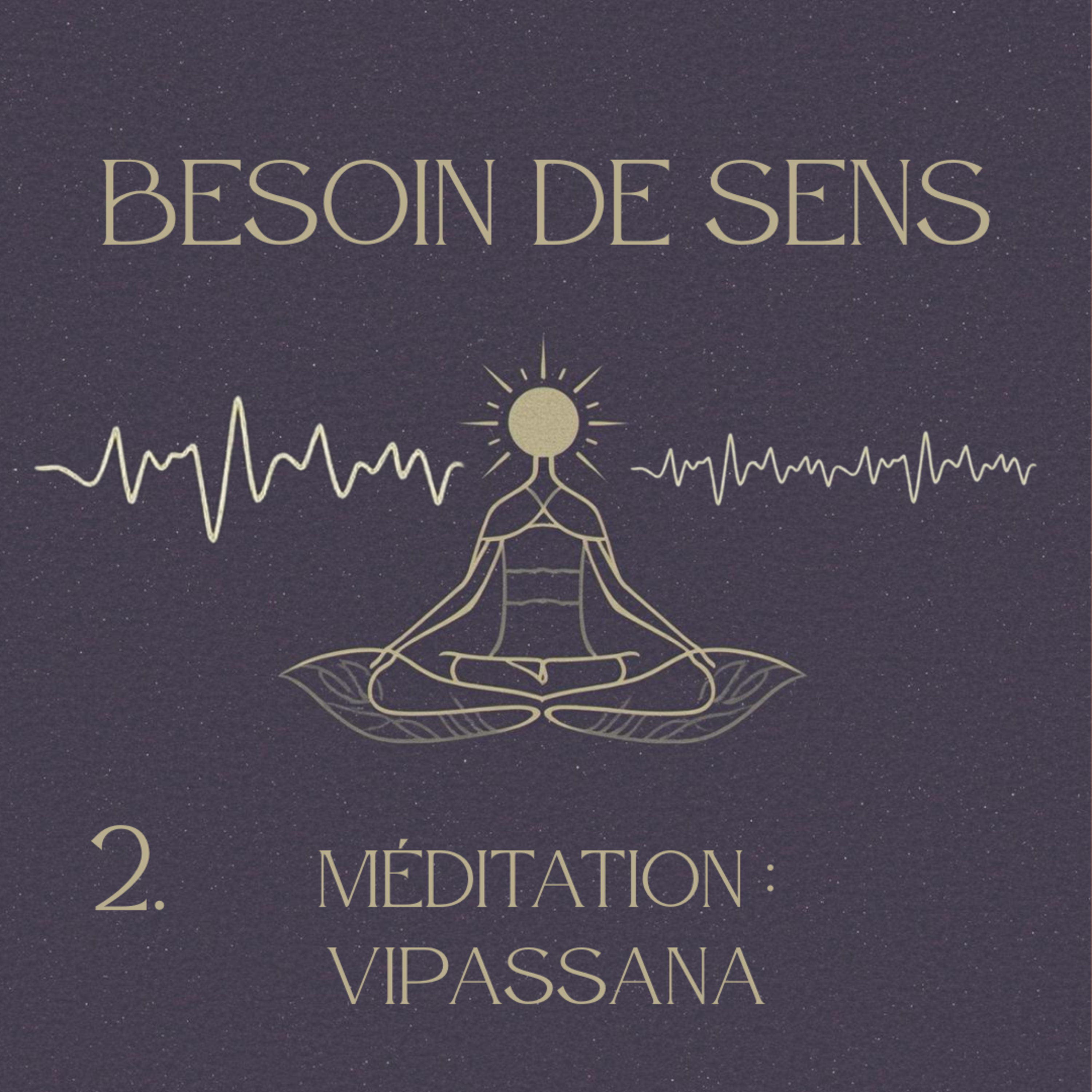 BESOIN DE SENS : 2. Méditation - Vipassana episode artwork