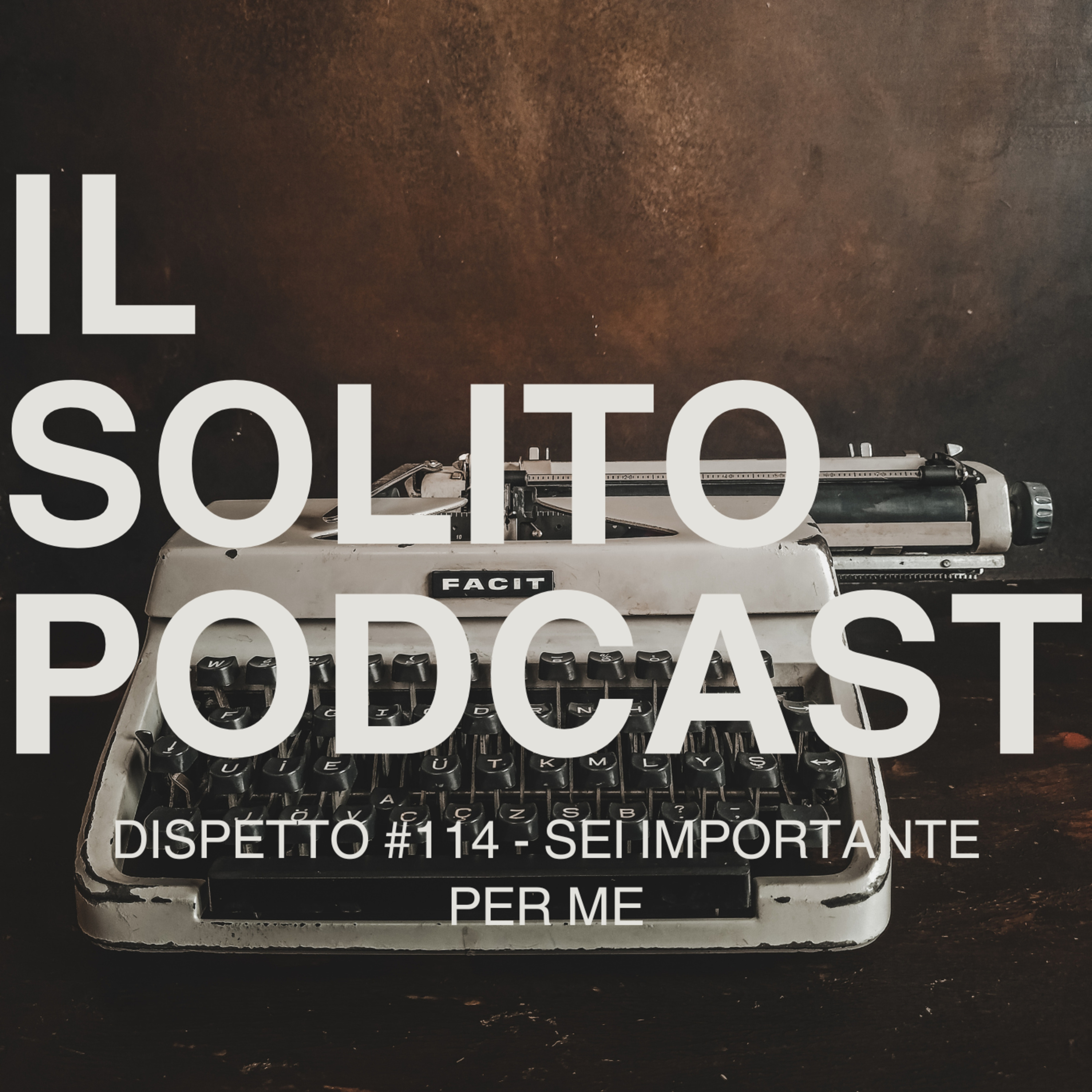 I SOLITI DISPETTI