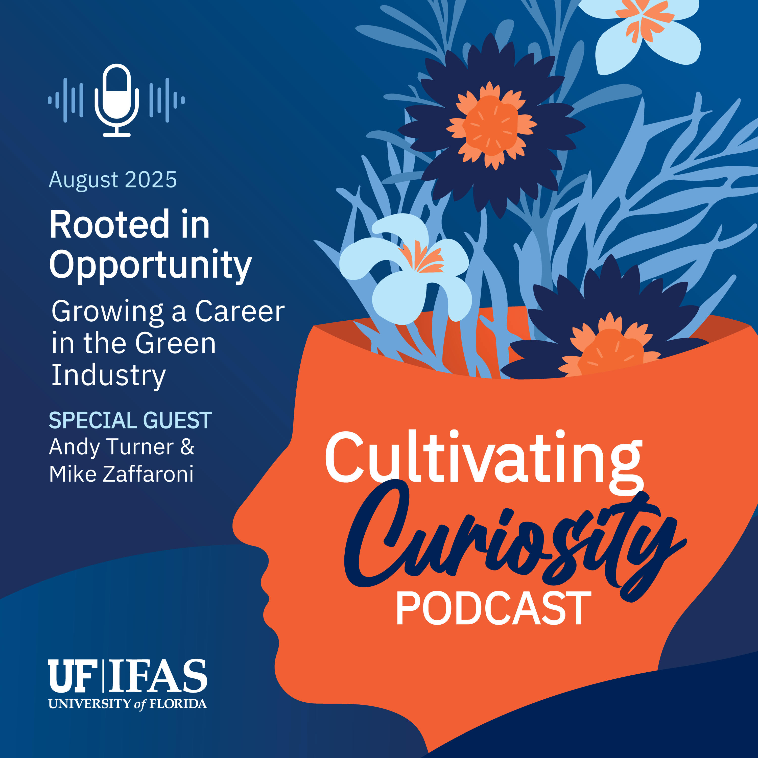 Cultivating Curiosity