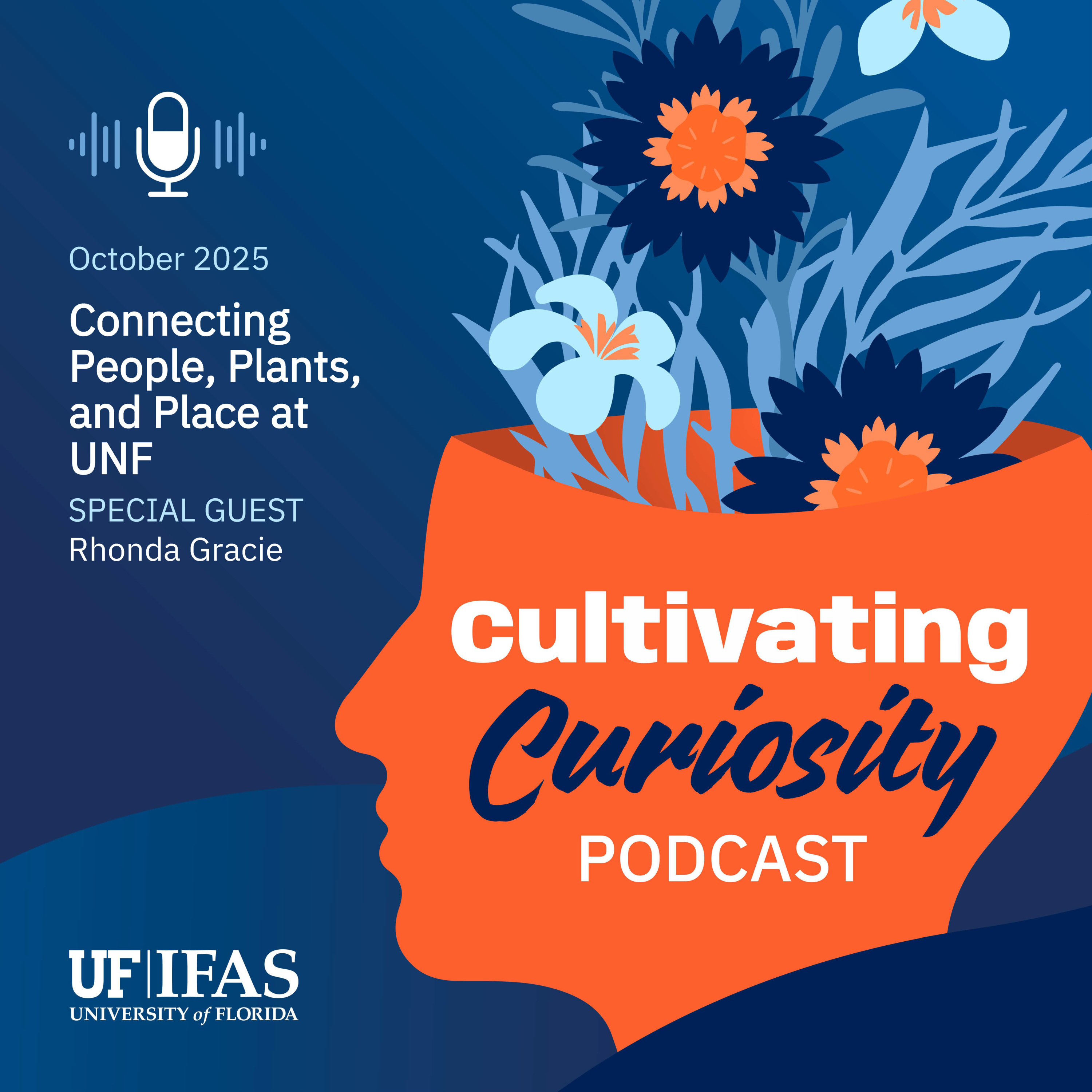 Cultivating Curiosity