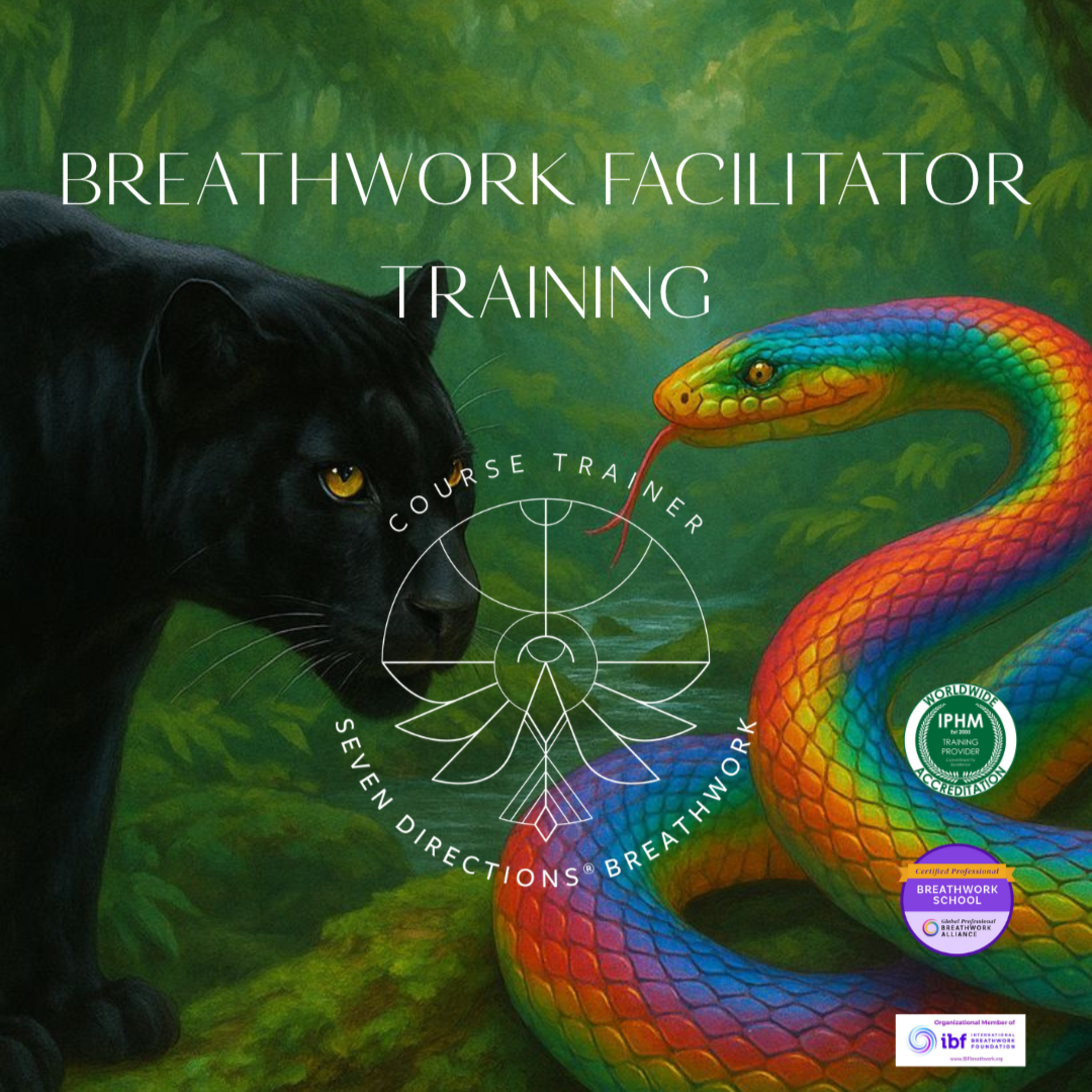 The Work Never Stops: Spiritual Integrity in Wellness Work episode artwork