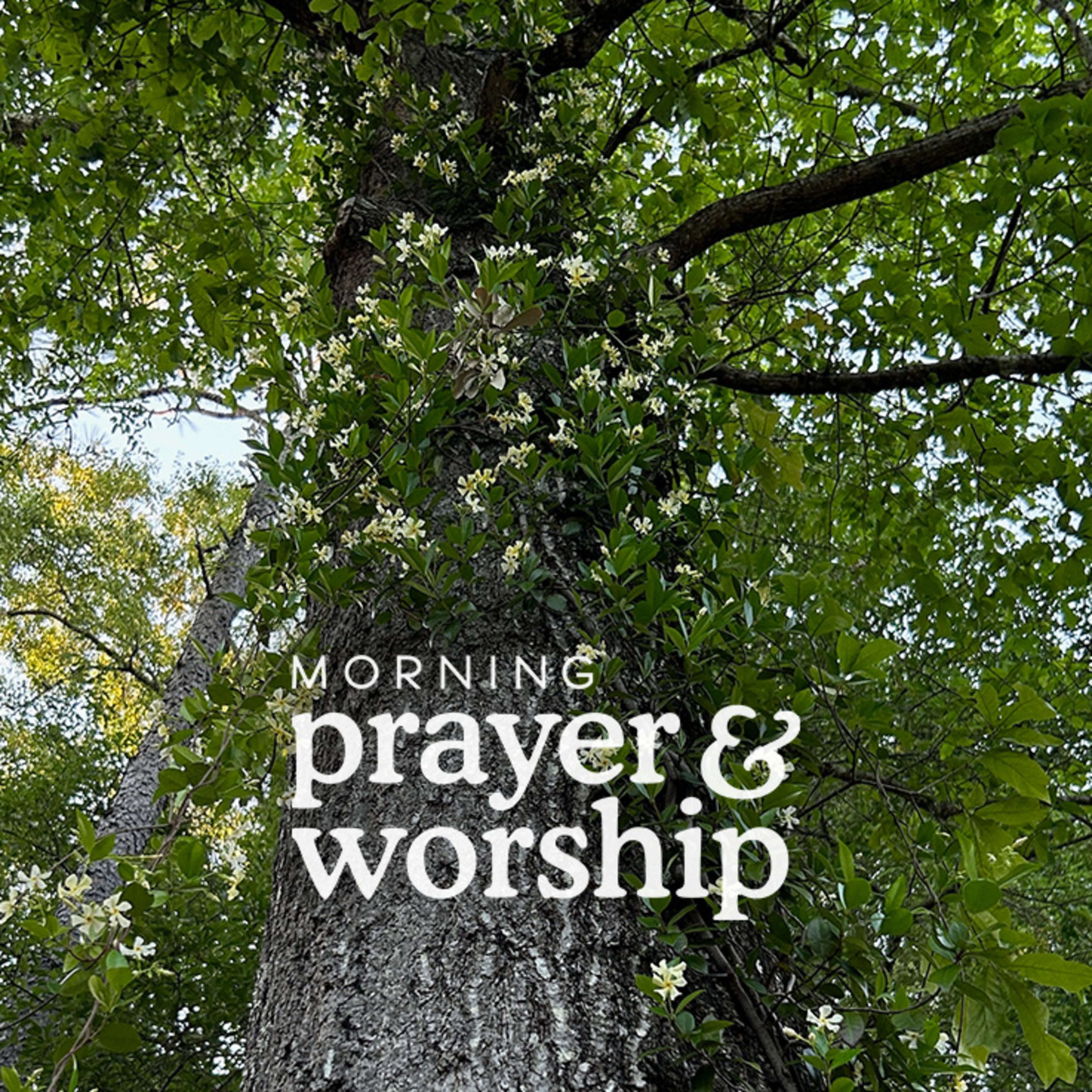 Morning Prayer and Worship