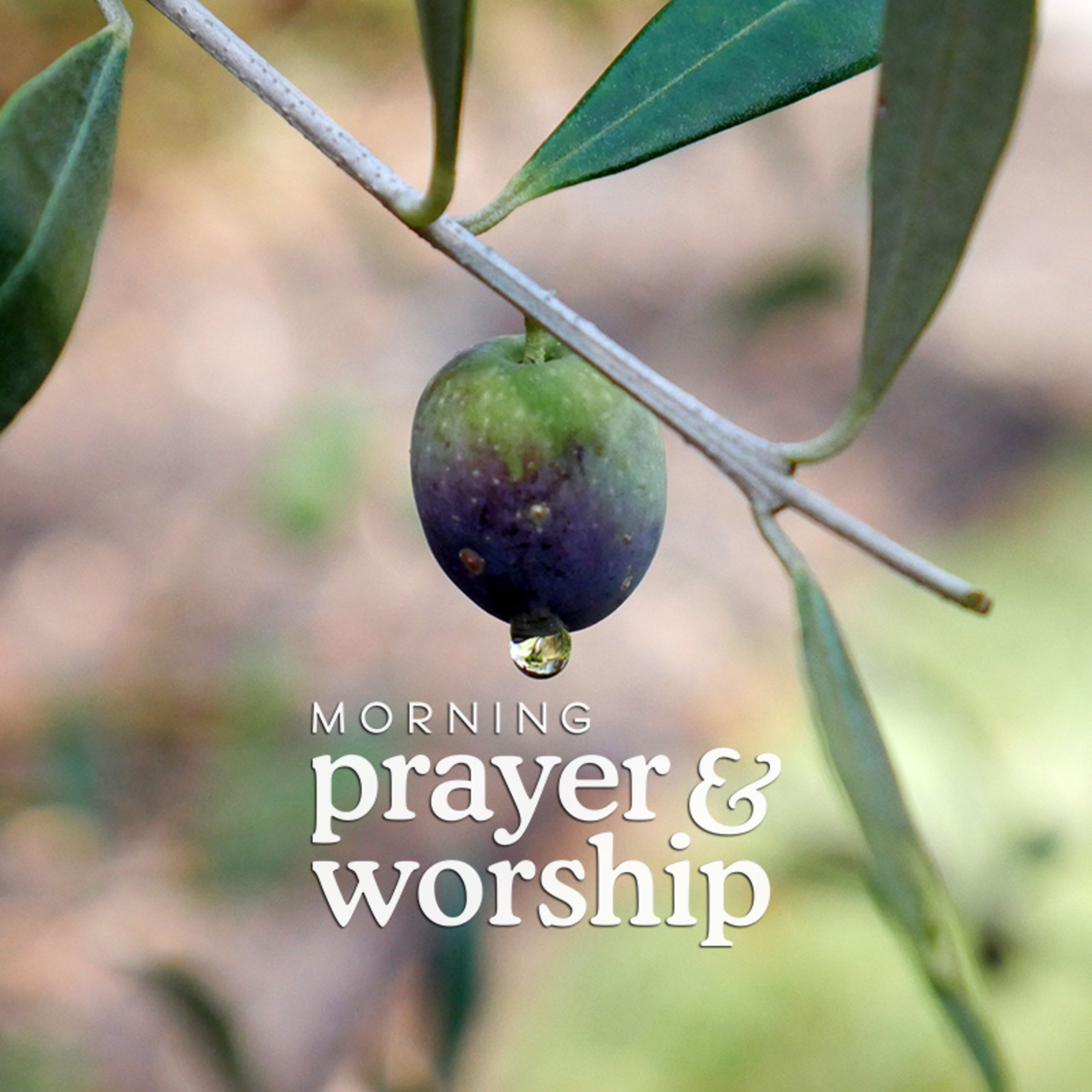 For those in impossible situations - Morning Prayer for August 12, 2024 episode artwork