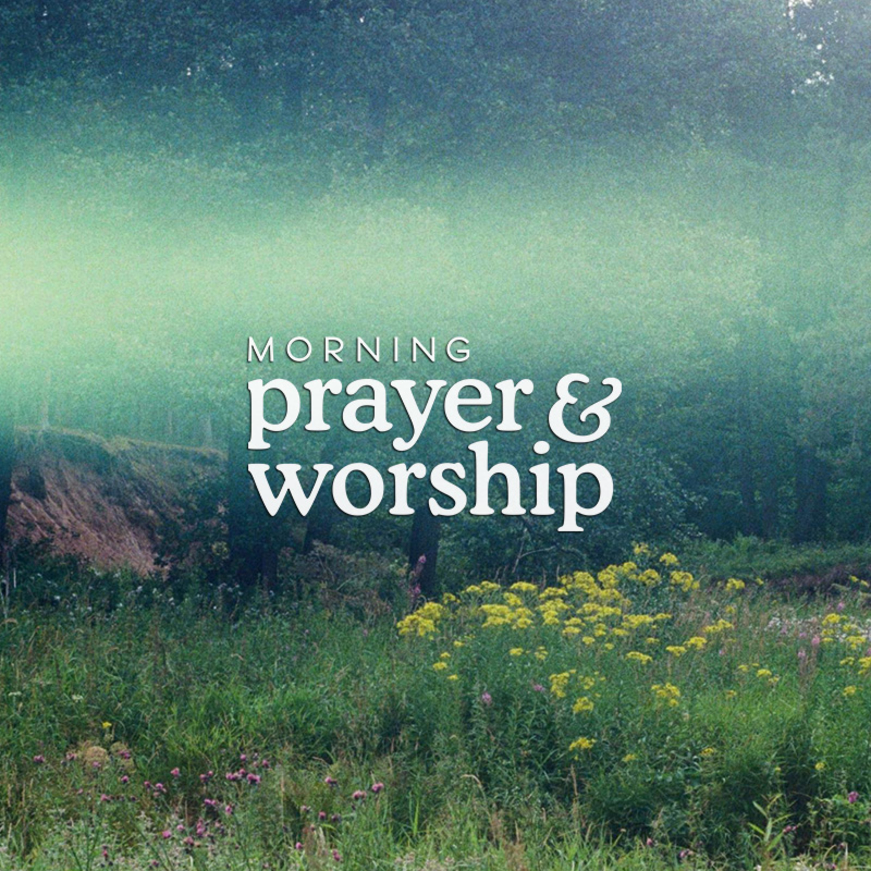 All generations will call me blessed - Morning Prayer for August 15, 2024 episode artwork
