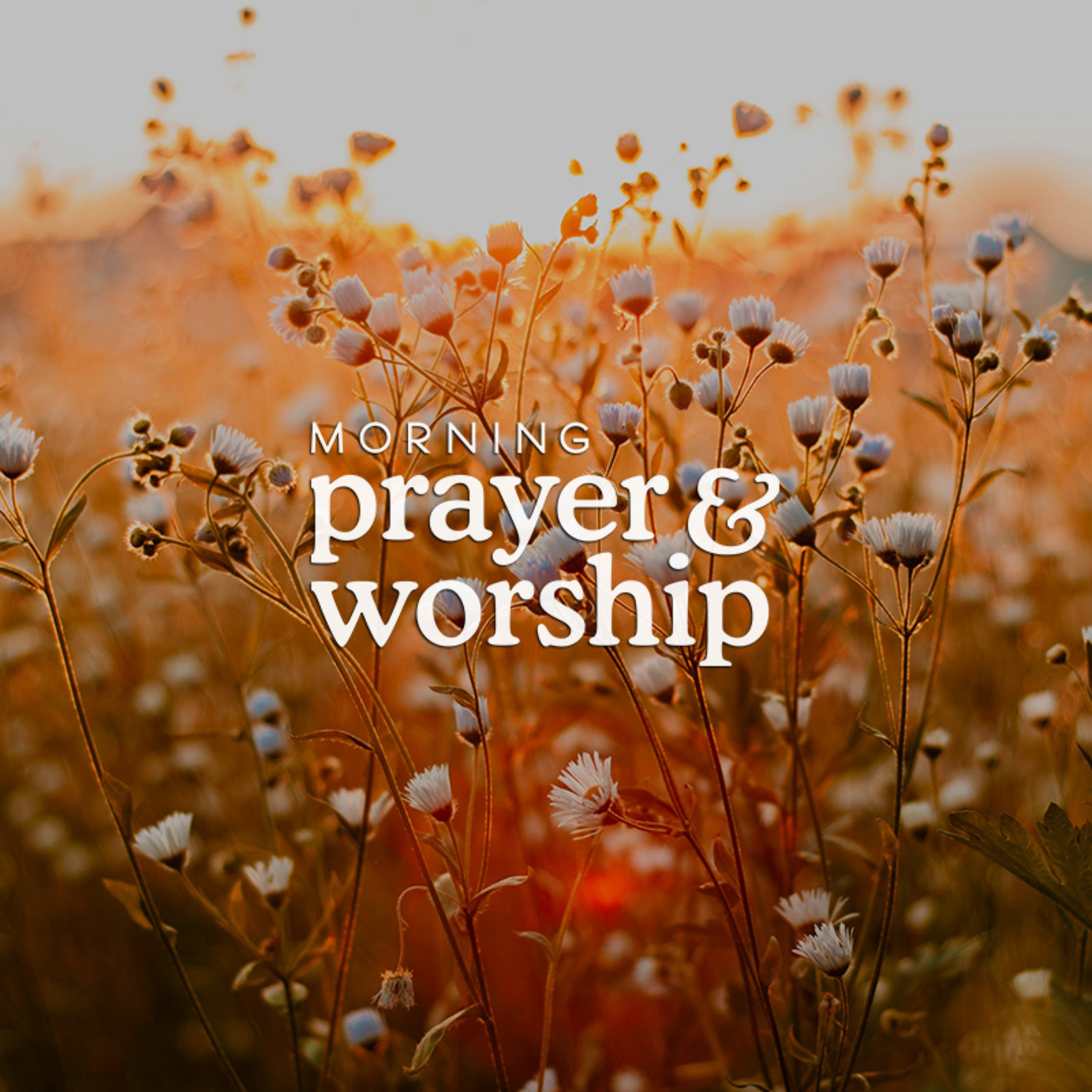 Until He show us His mercy - Morning Prayer for August 20, 2024 episode artwork