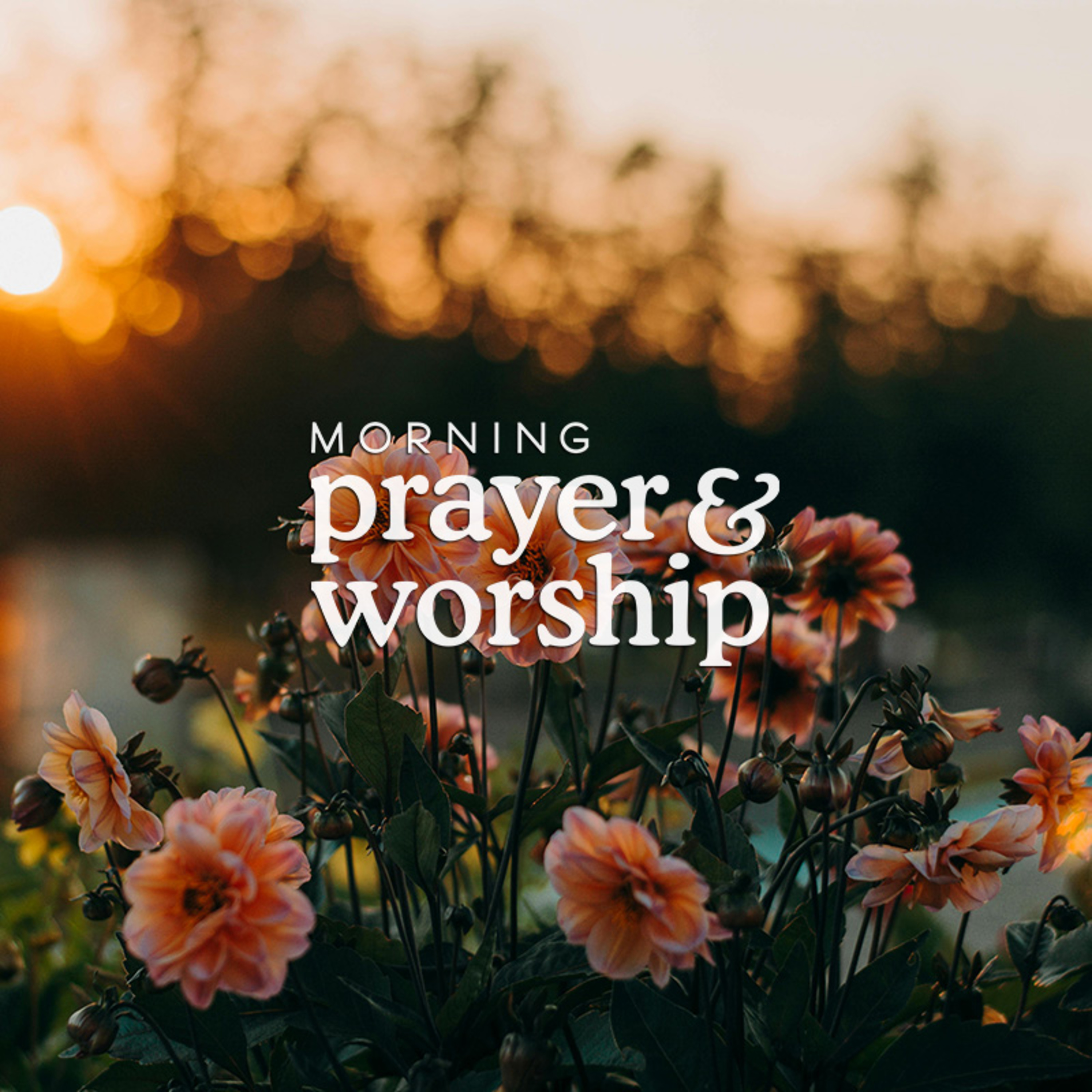 I’ve never been more glad - Morning Prayer for August 21, 2024 episode artwork
