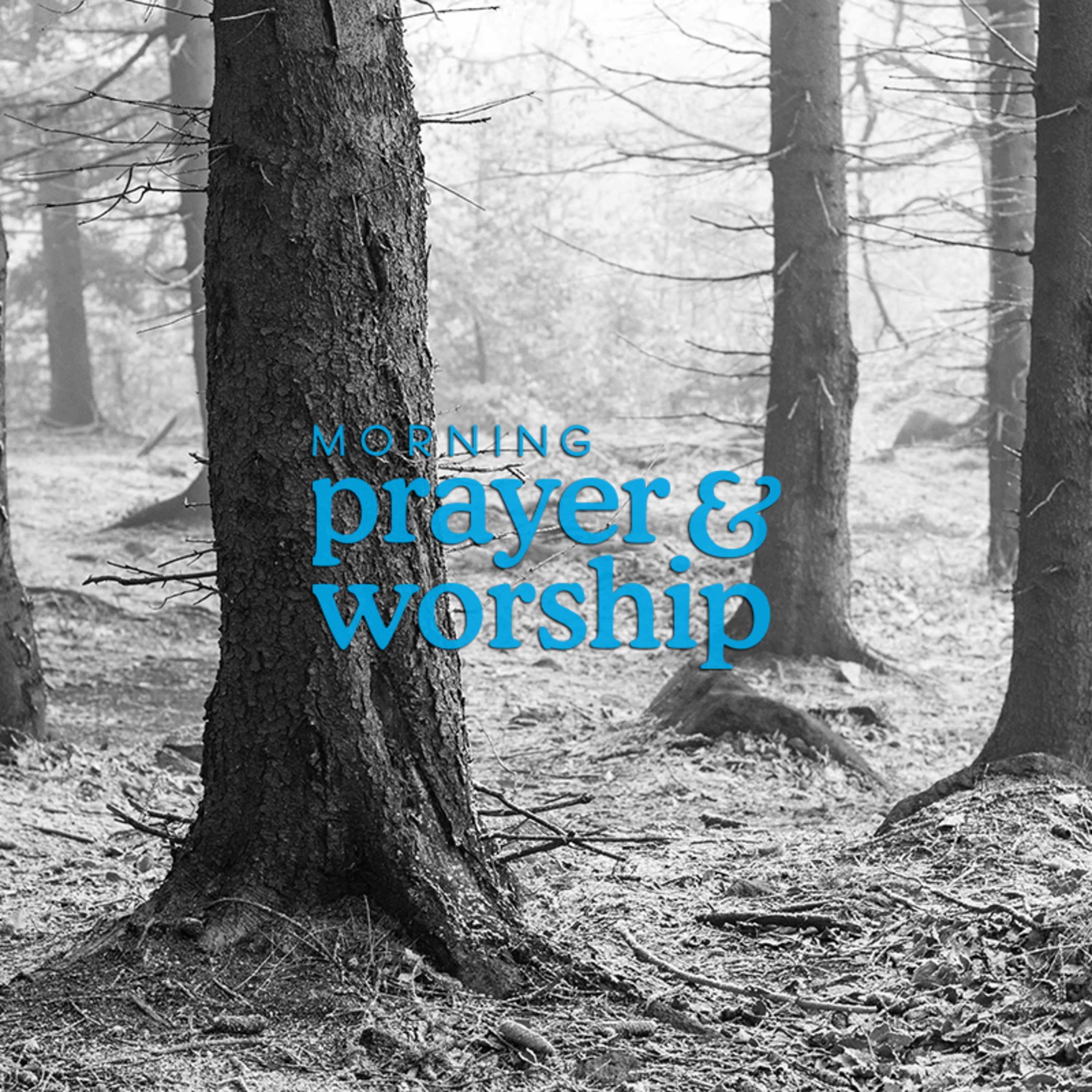 High on a desert plain - Morning Prayer for October 24, 2024 episode artwork