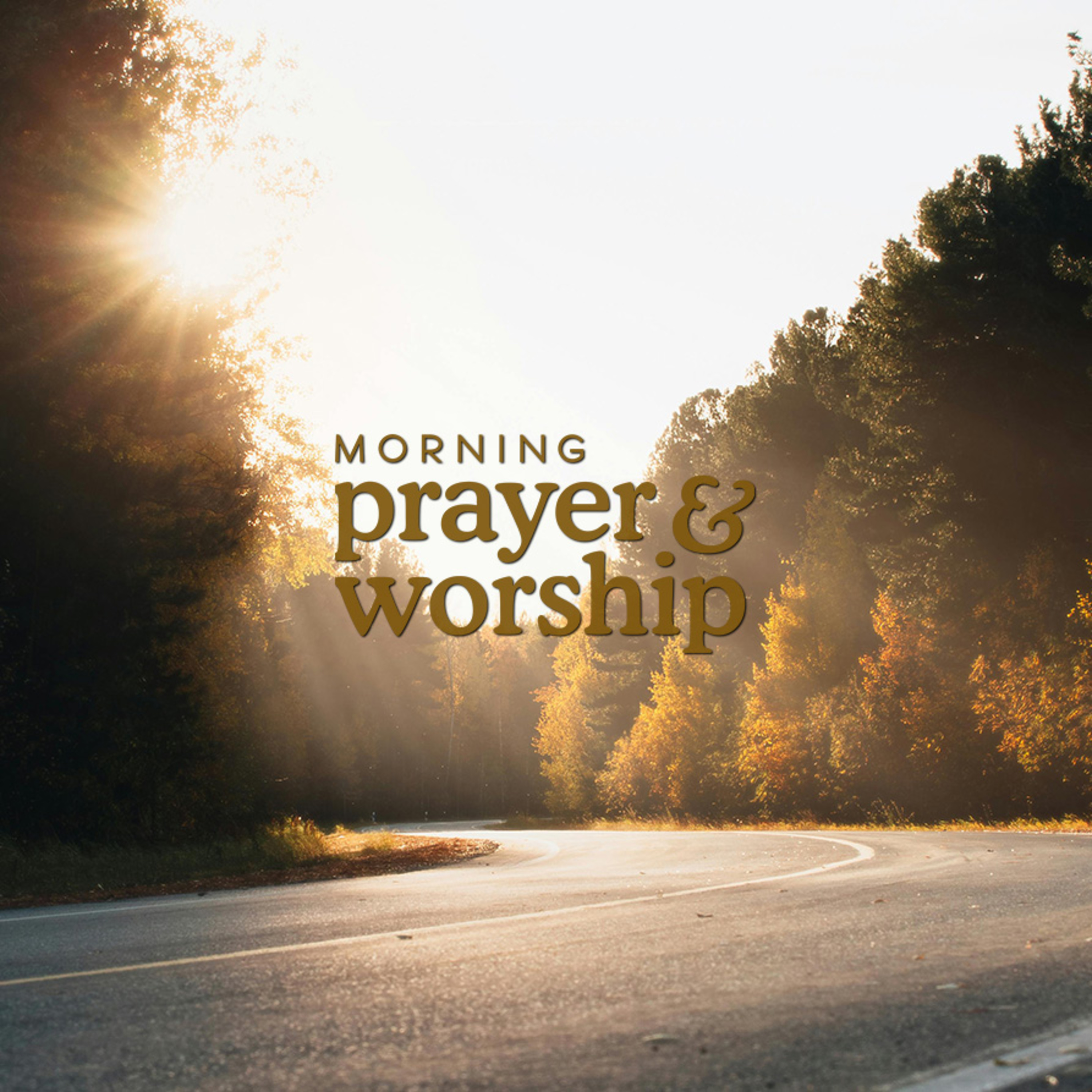 You’re worthy of our trust - Morning Prayer, Thursday, Proper 28B episode artwork