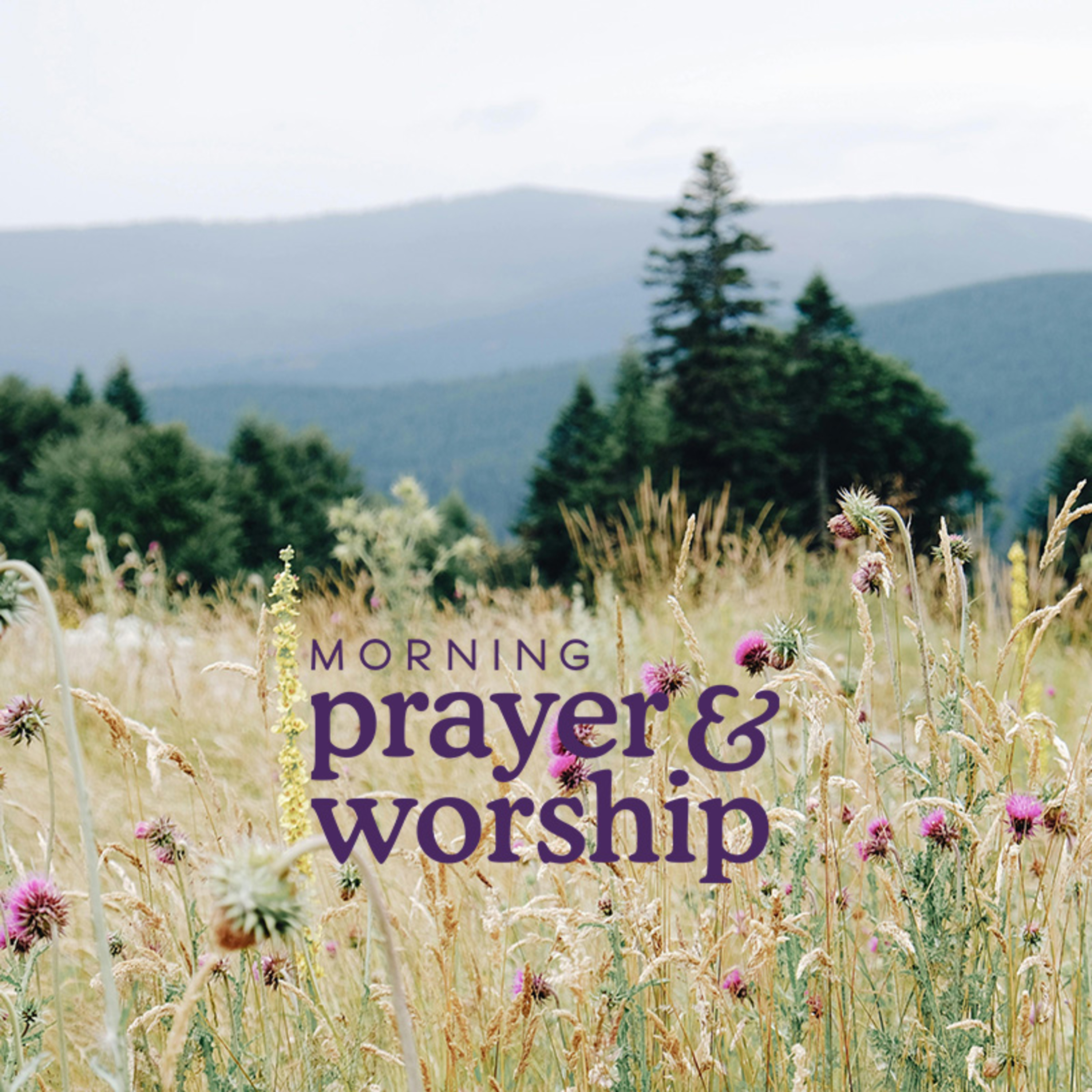 Until He shows us His mercy - Morning Prayer, Tuesday, Proper 29B episode artwork