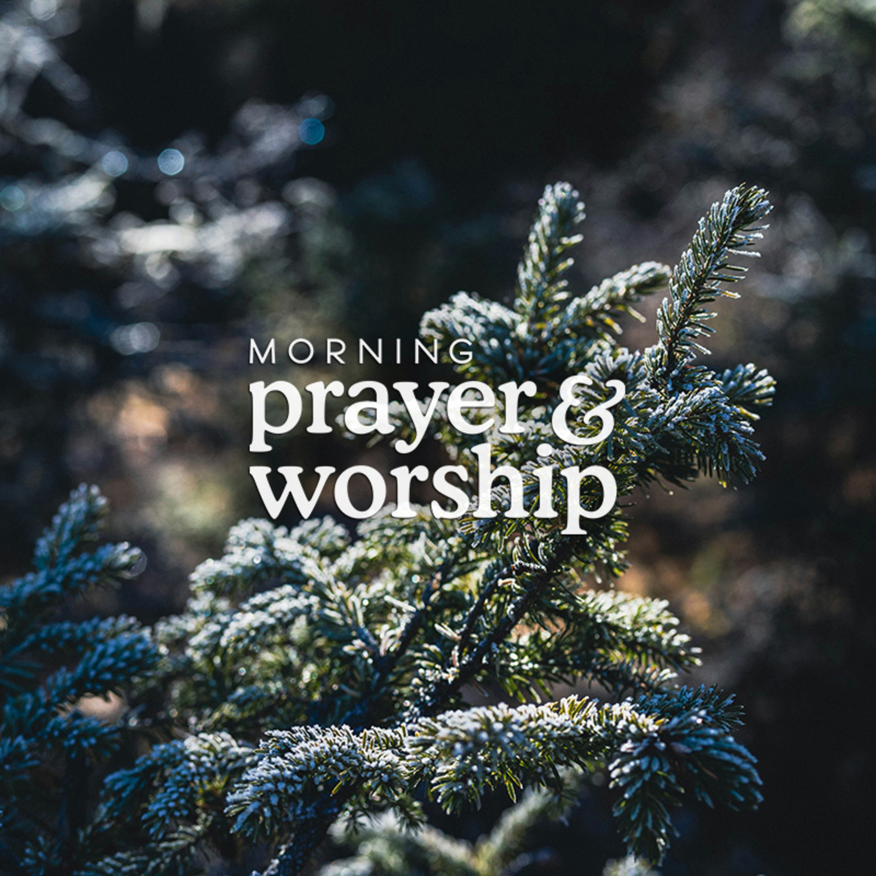 You Yourself have taught me - Morning Prayer Fifth Wednesday After the Epiphany episode artwork