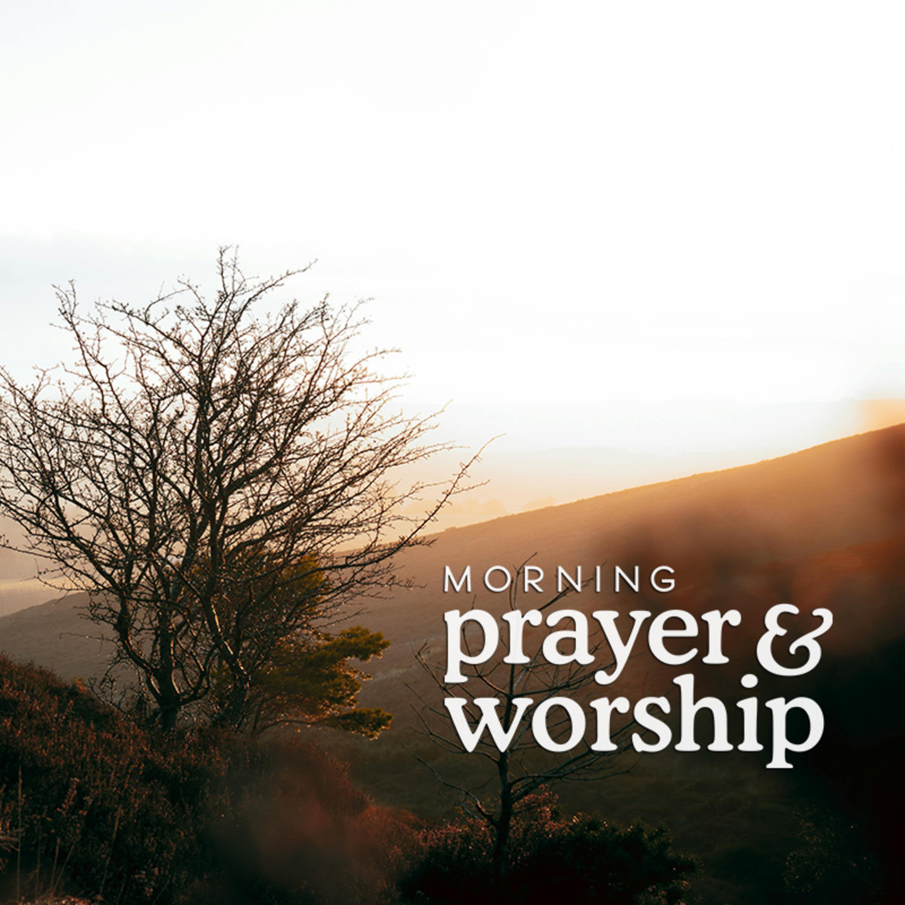 Your faithfulness is all around You - Morning Prayer Sixth Monday After the Epiphany episode artwork