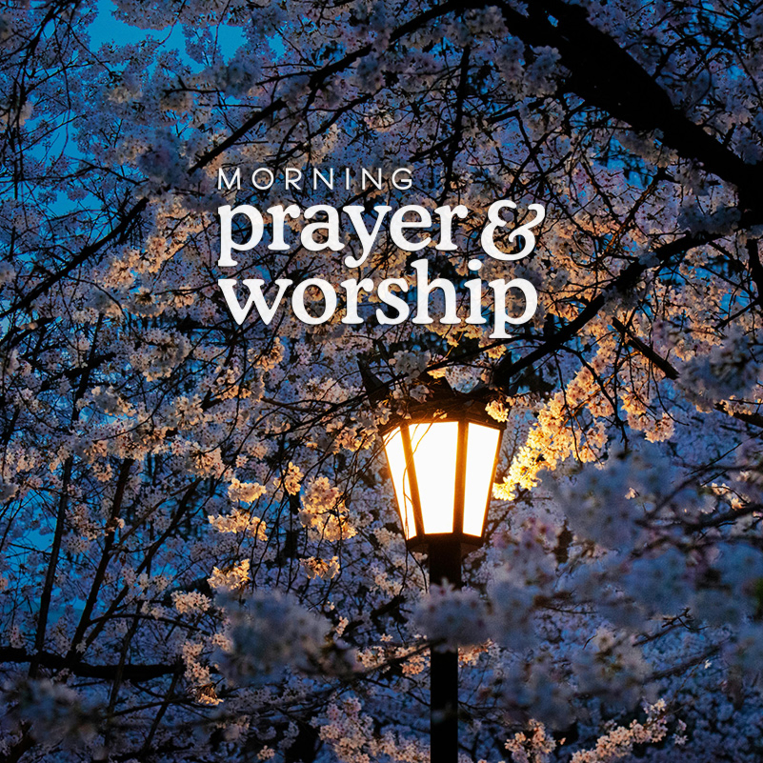 So I can see You - Morning Prayer for the Fifth Monday in Lent episode artwork
