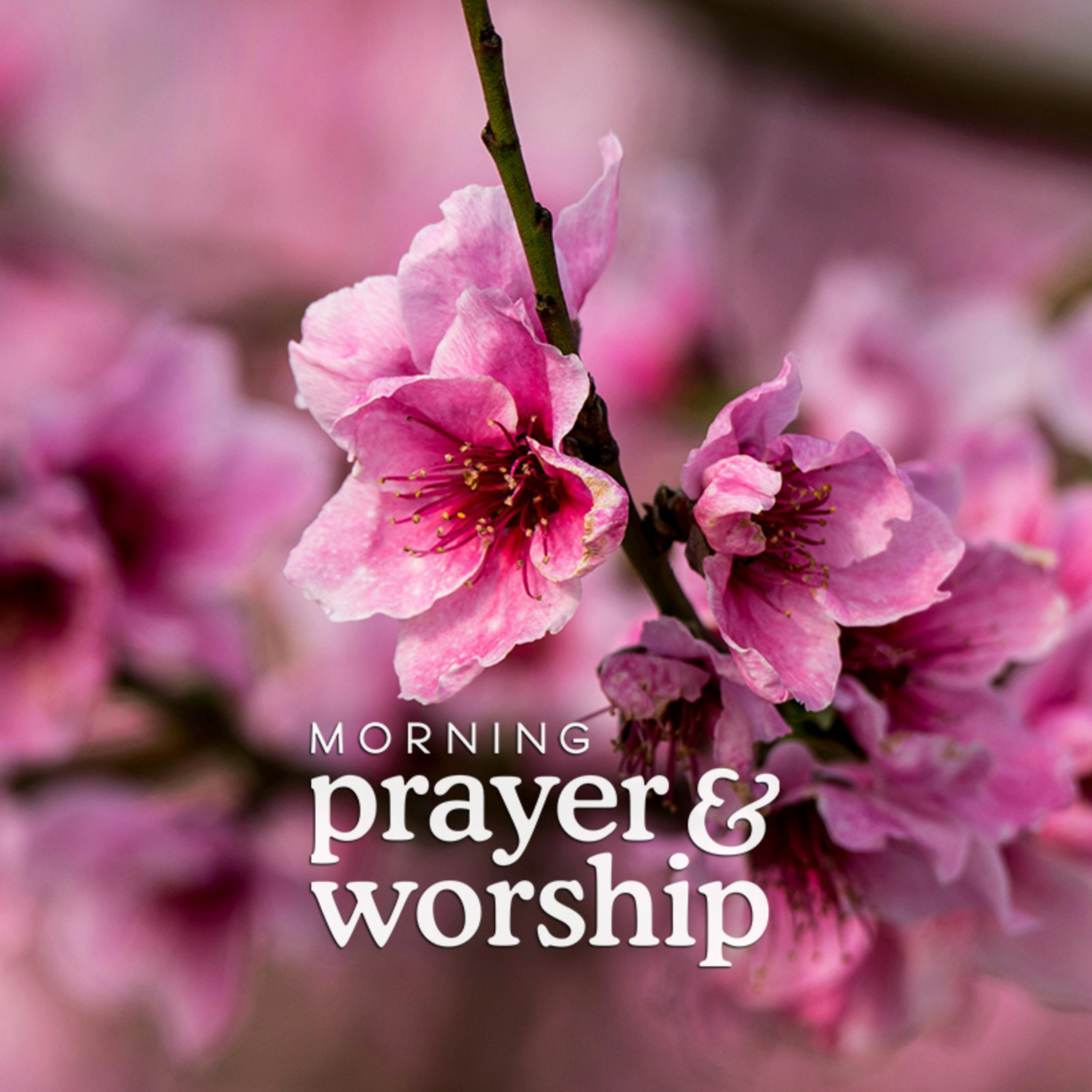 I am so glad - Morning Prayer for the Fifth Wednesday in Lent episode artwork