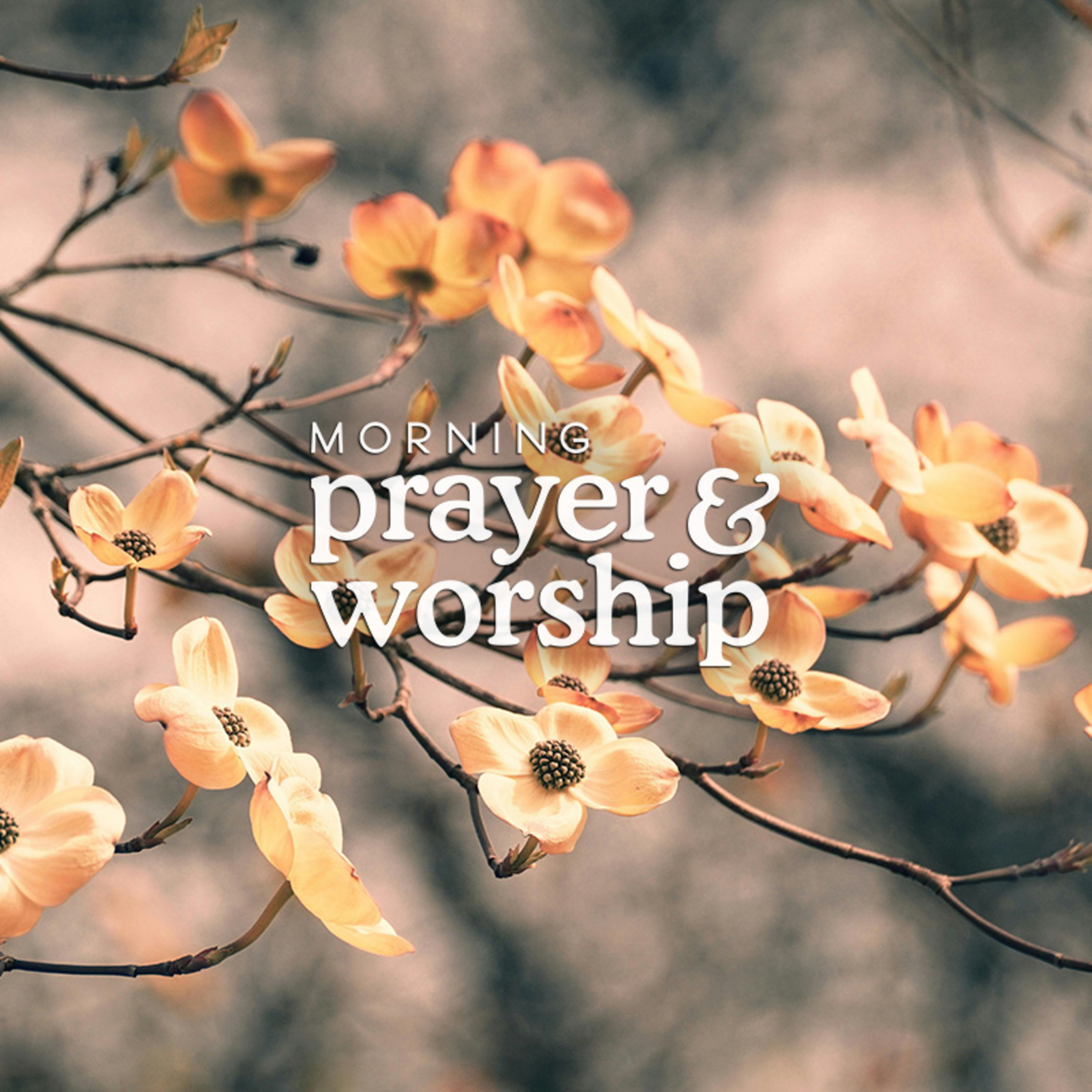 The river of Your delights - Morning Prayer for Monday in Holy Week episode artwork