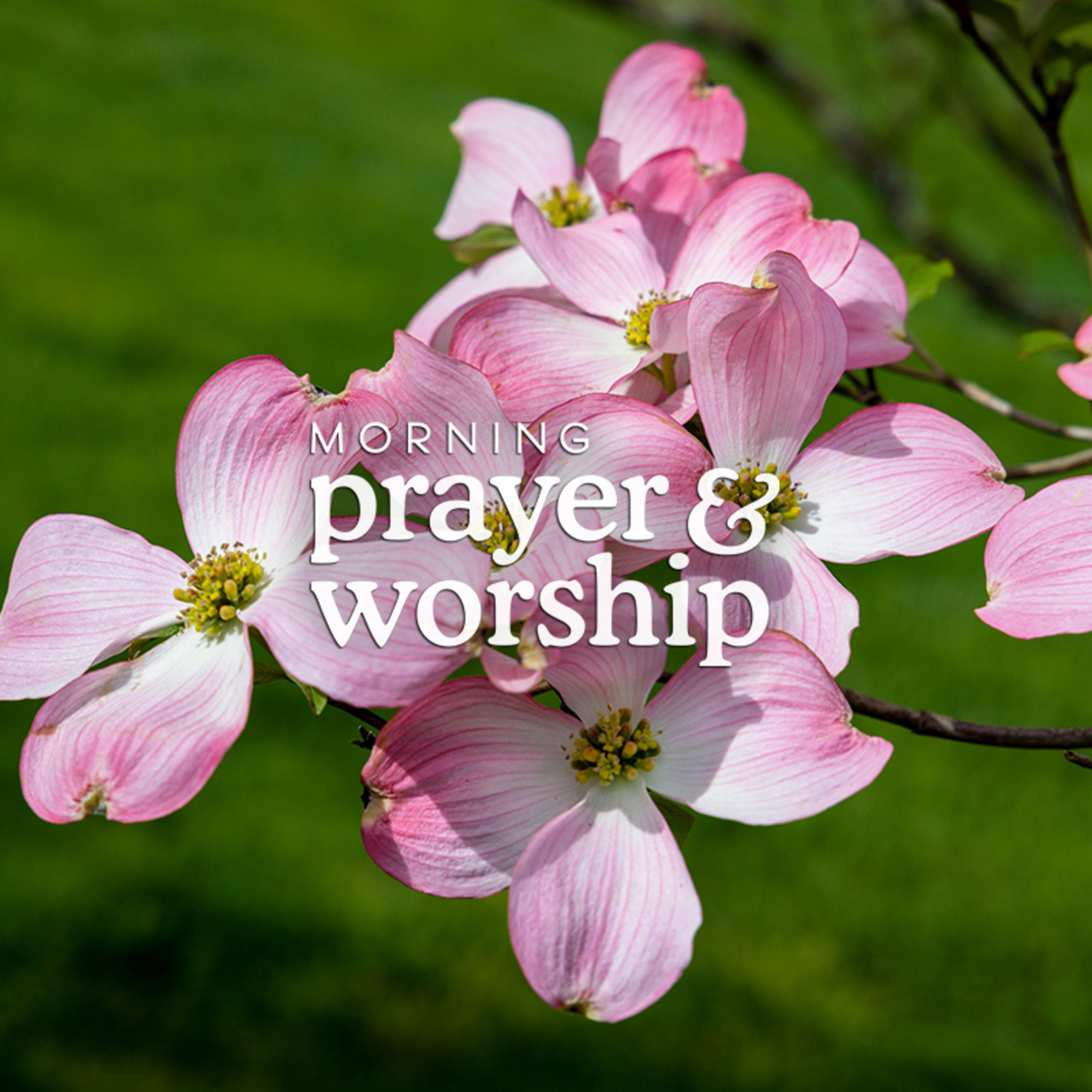 And He walks with me - Morning Prayer for Tuesday in Holy Week episode artwork