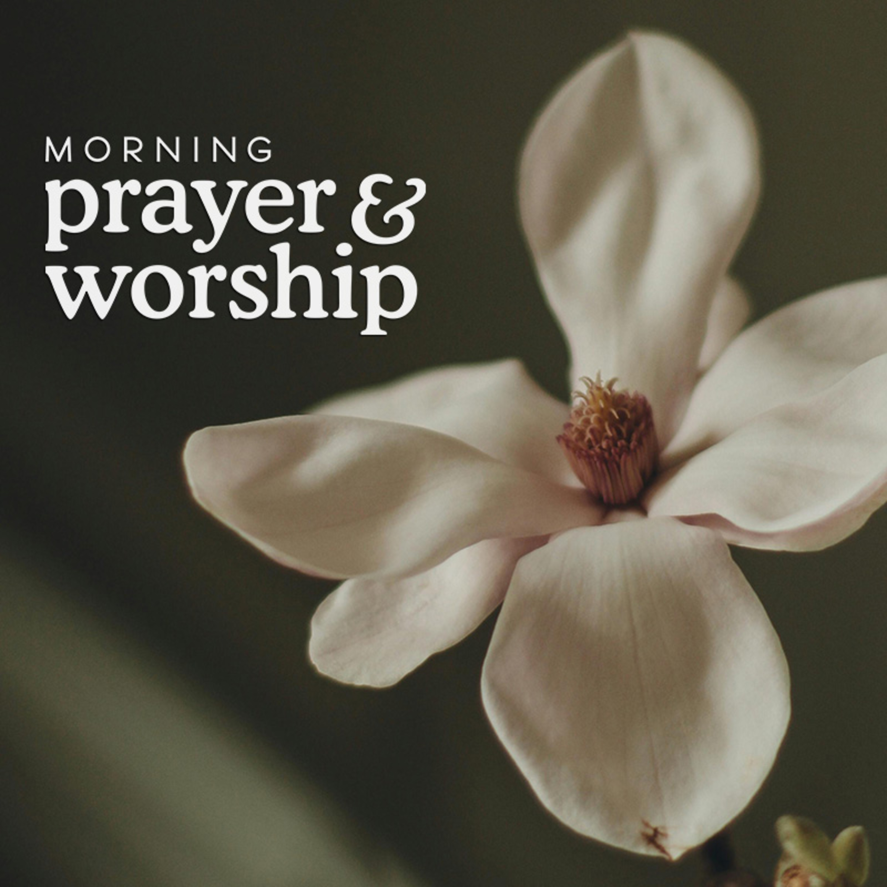 Morning Prayer and Worship