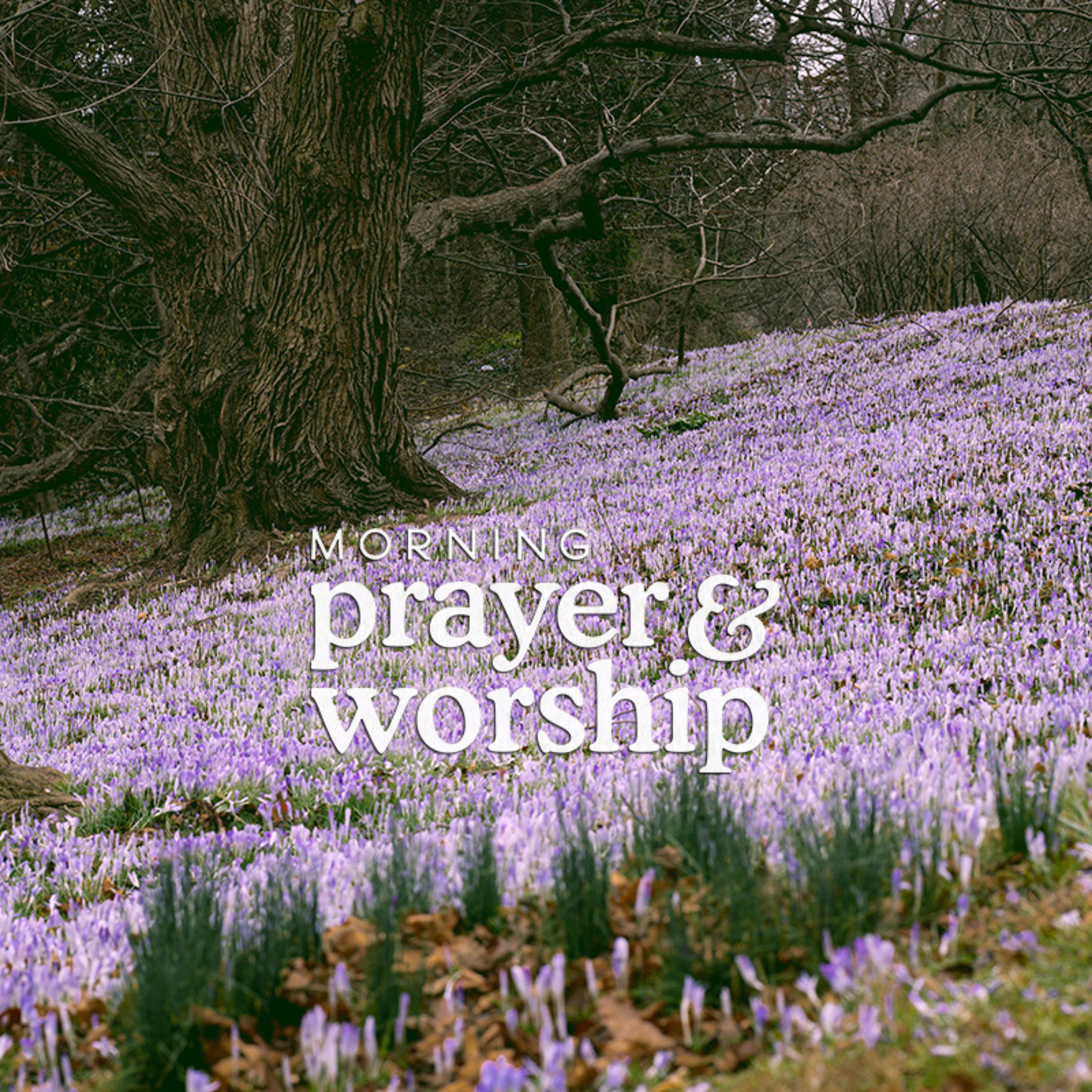 Be not far from me - Morning Prayer for the Thursday after Pentecost episode artwork