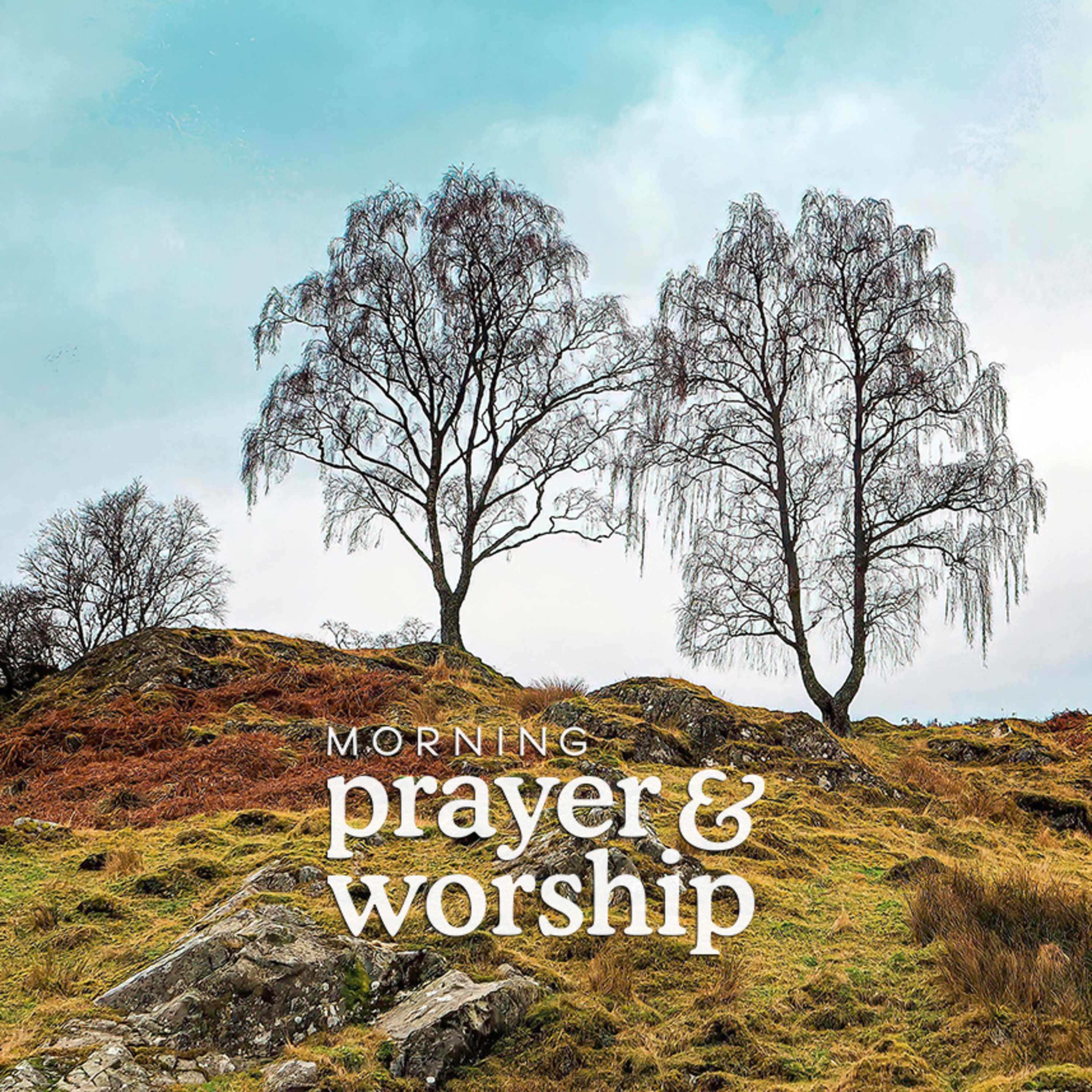 I’m shaking like a leaf - Morning Prayer for Thursday of Ordinary Time, Proper 6 episode artwork