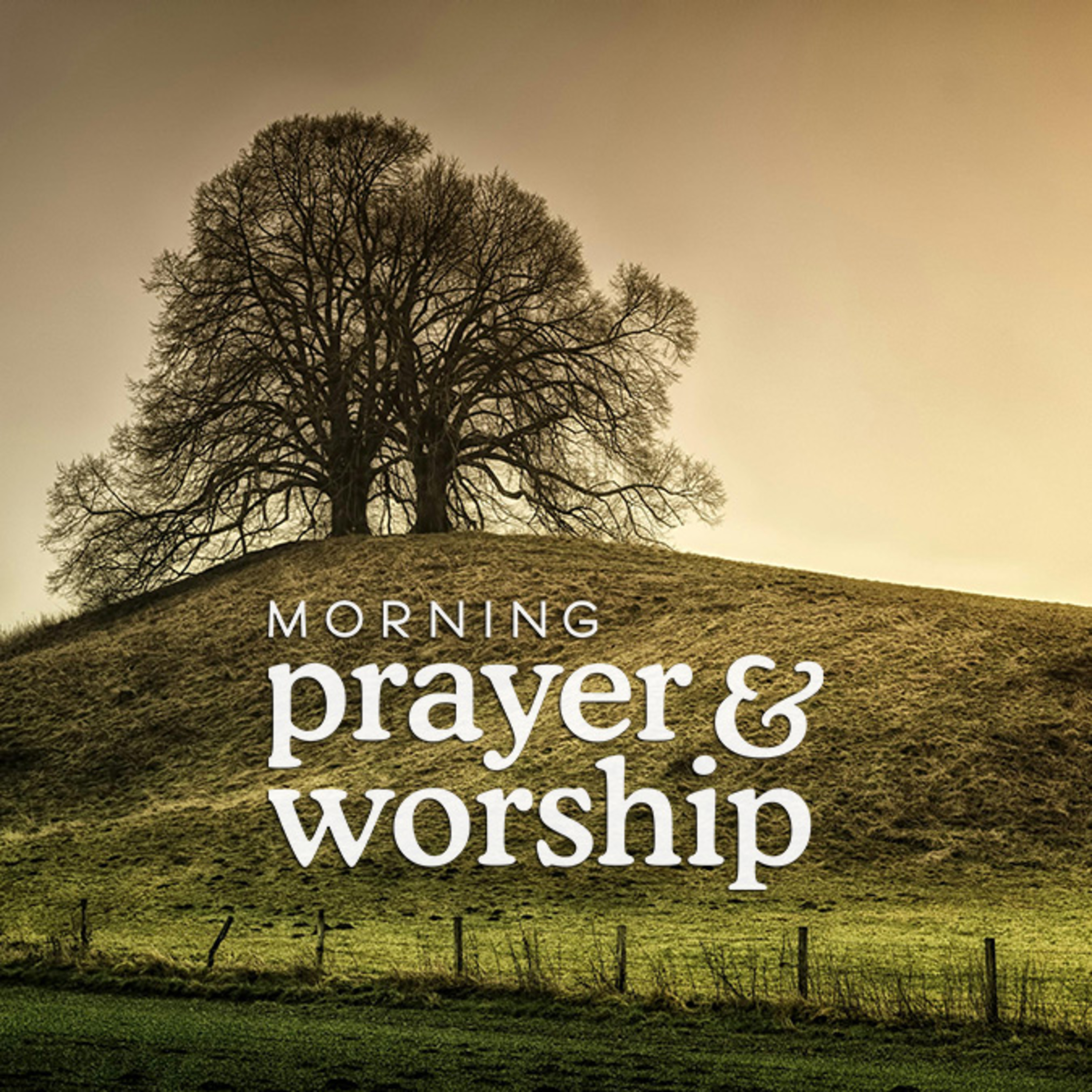 This has been my practice - Morning Prayer for Wednesday of Ordinary Time, Proper 11 episode artwork