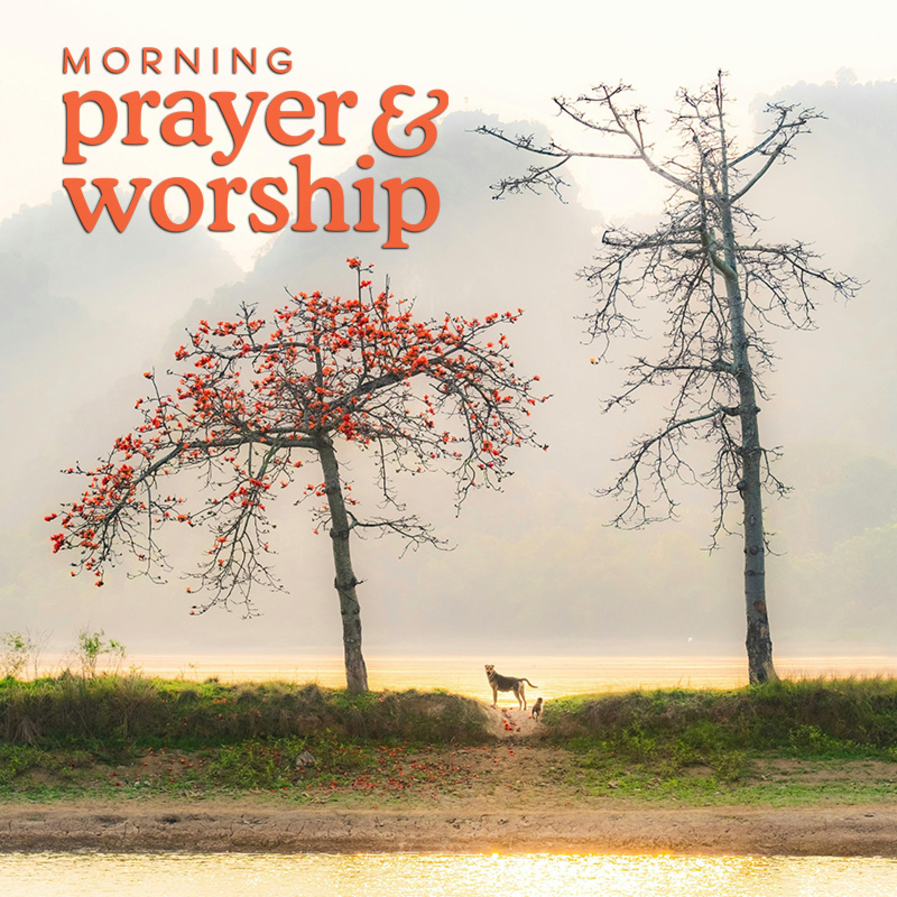 Closer than the air I breathe - Morning Prayer for Thursday of Ordinary Time, Proper 11 episode artwork