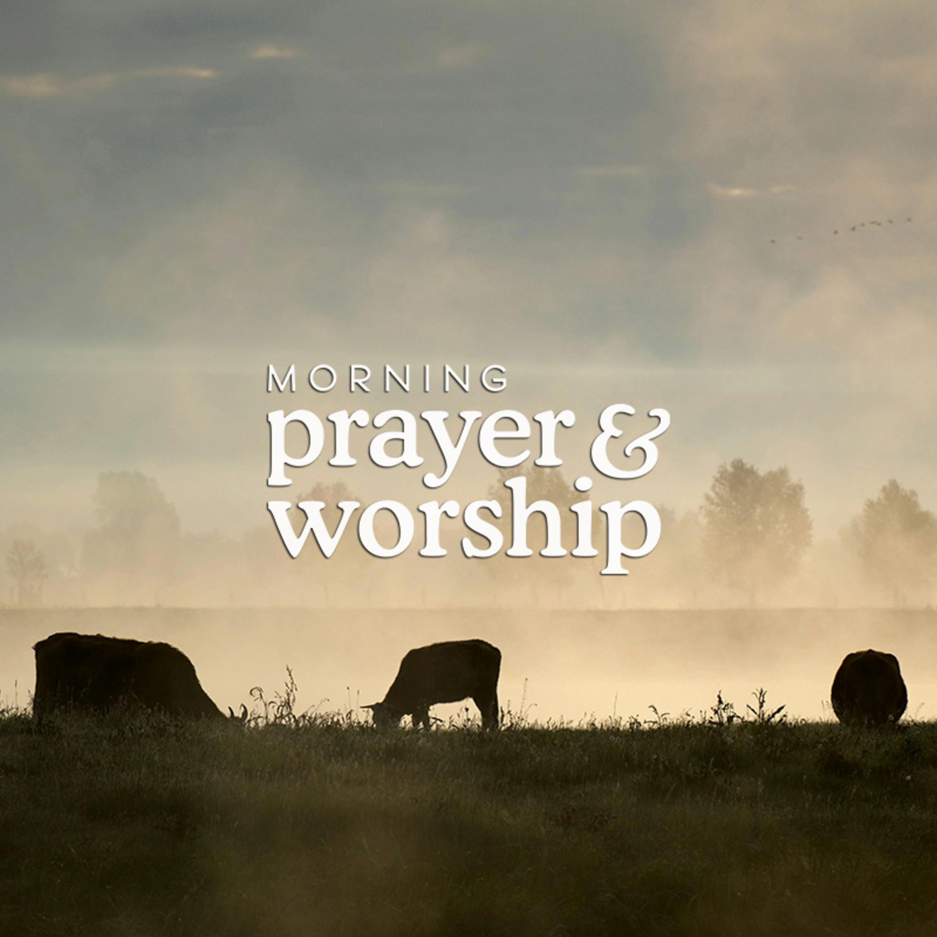 He turned to me - Morning Prayer for Friday of Ordinary Time, Proper 11 episode artwork