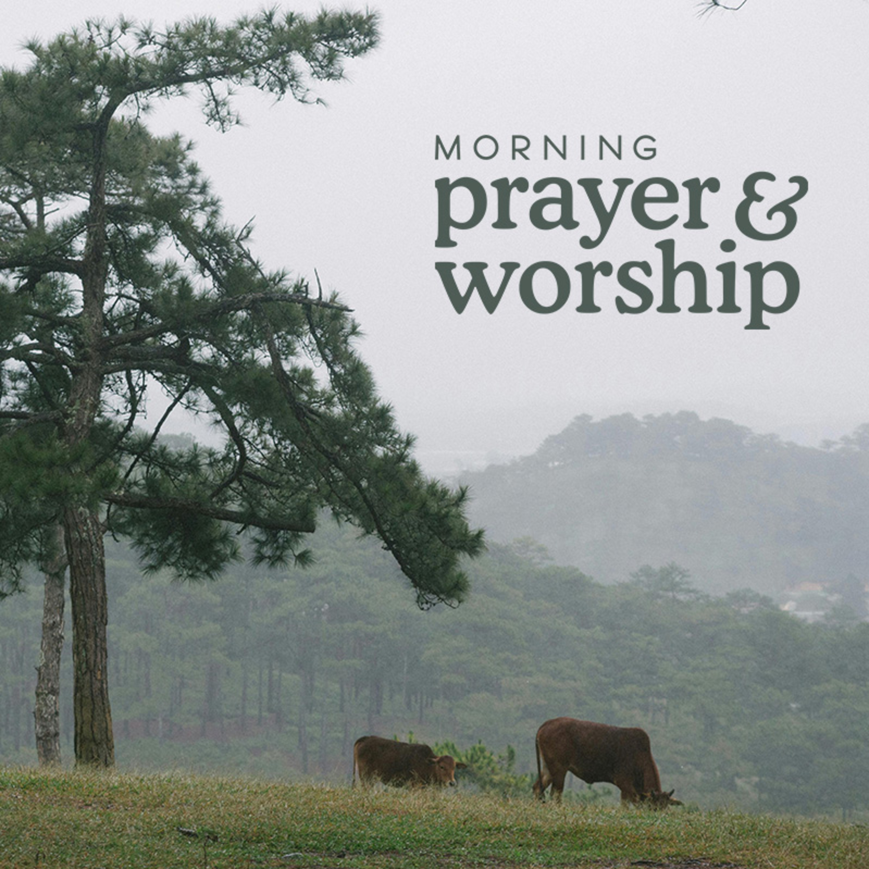 When I am afraid - Morning Prayer for Monday of Ordinary Time, Proper 12 episode artwork