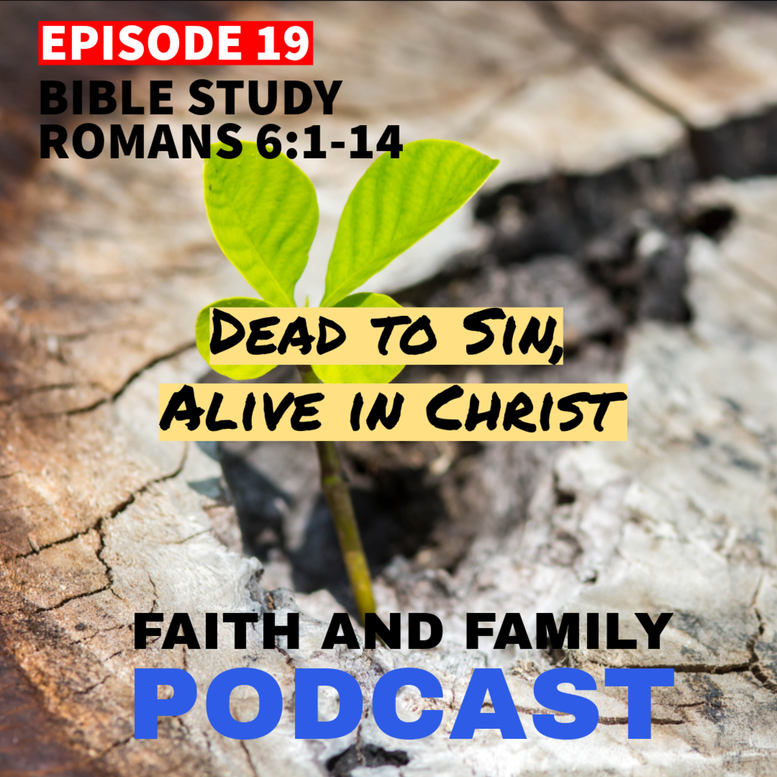Episode 19: Dead to sin, Alive in Christ - Bible study Romans 6:1-14 (English/Tamil) episode artwork