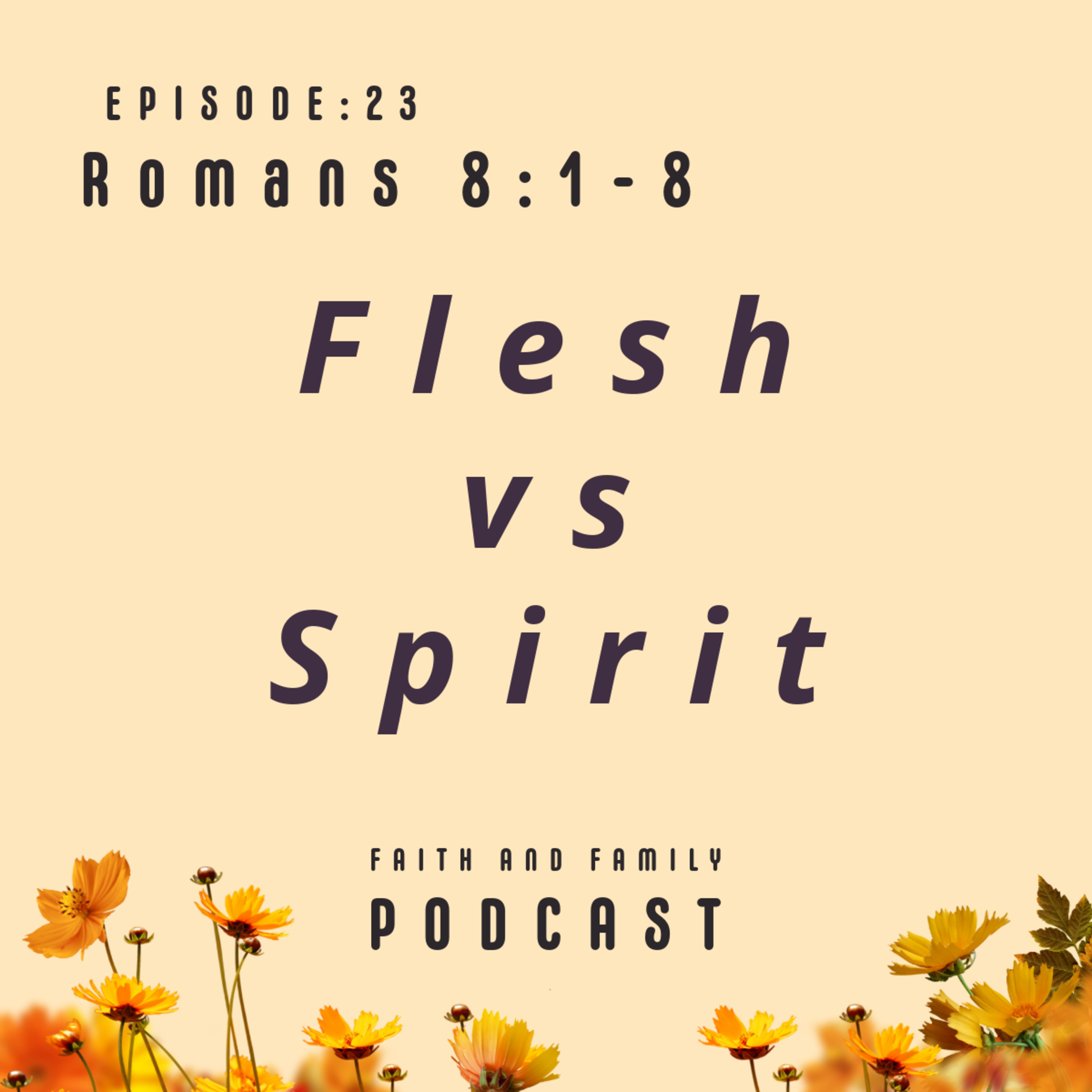 Episode 23: Flesh vs Spirit - Bible study (Romans 8:1-8) English/Tamil episode artwork