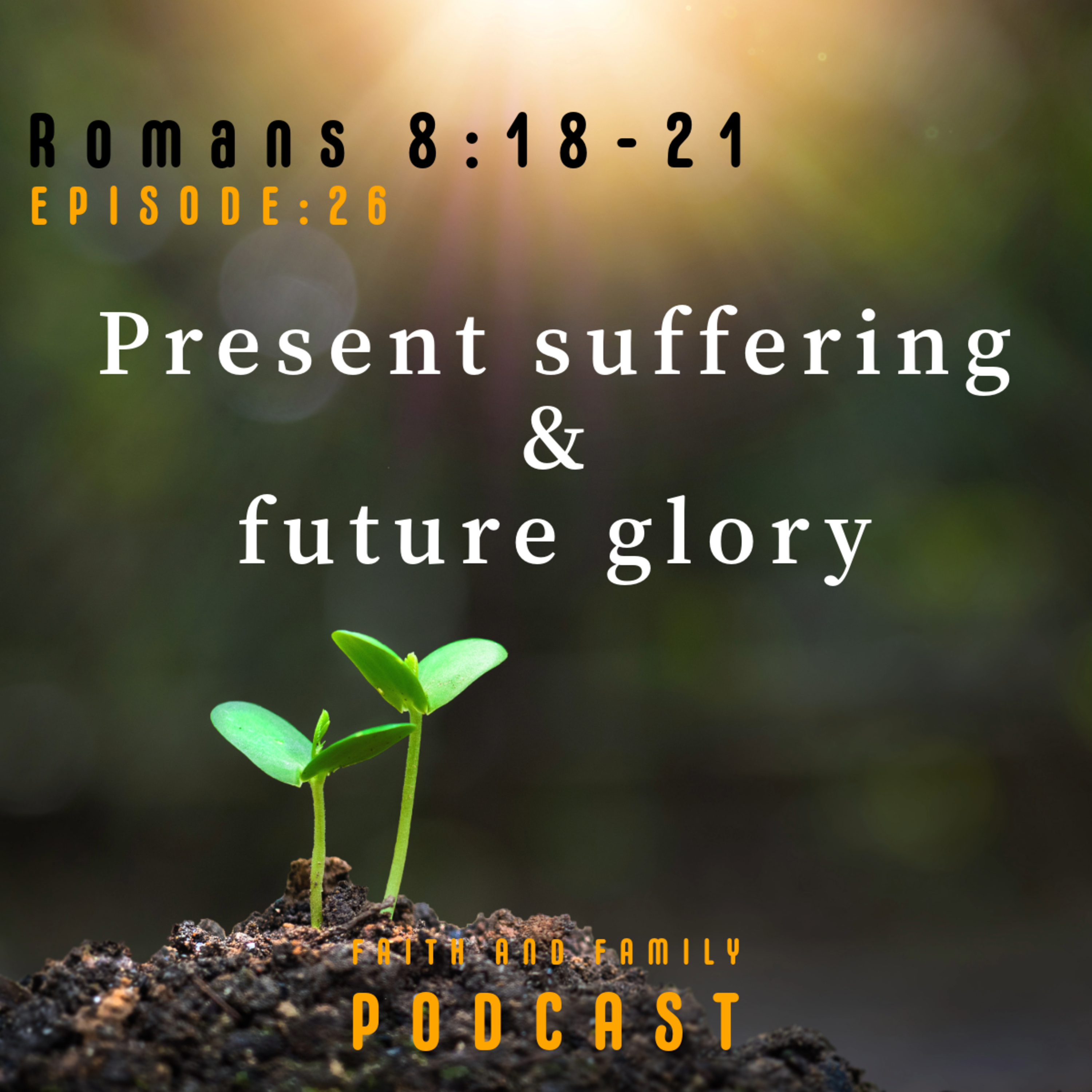 Episode 26: Present suffering and future glory (Bible study) Romans 8: 18-21 episode artwork