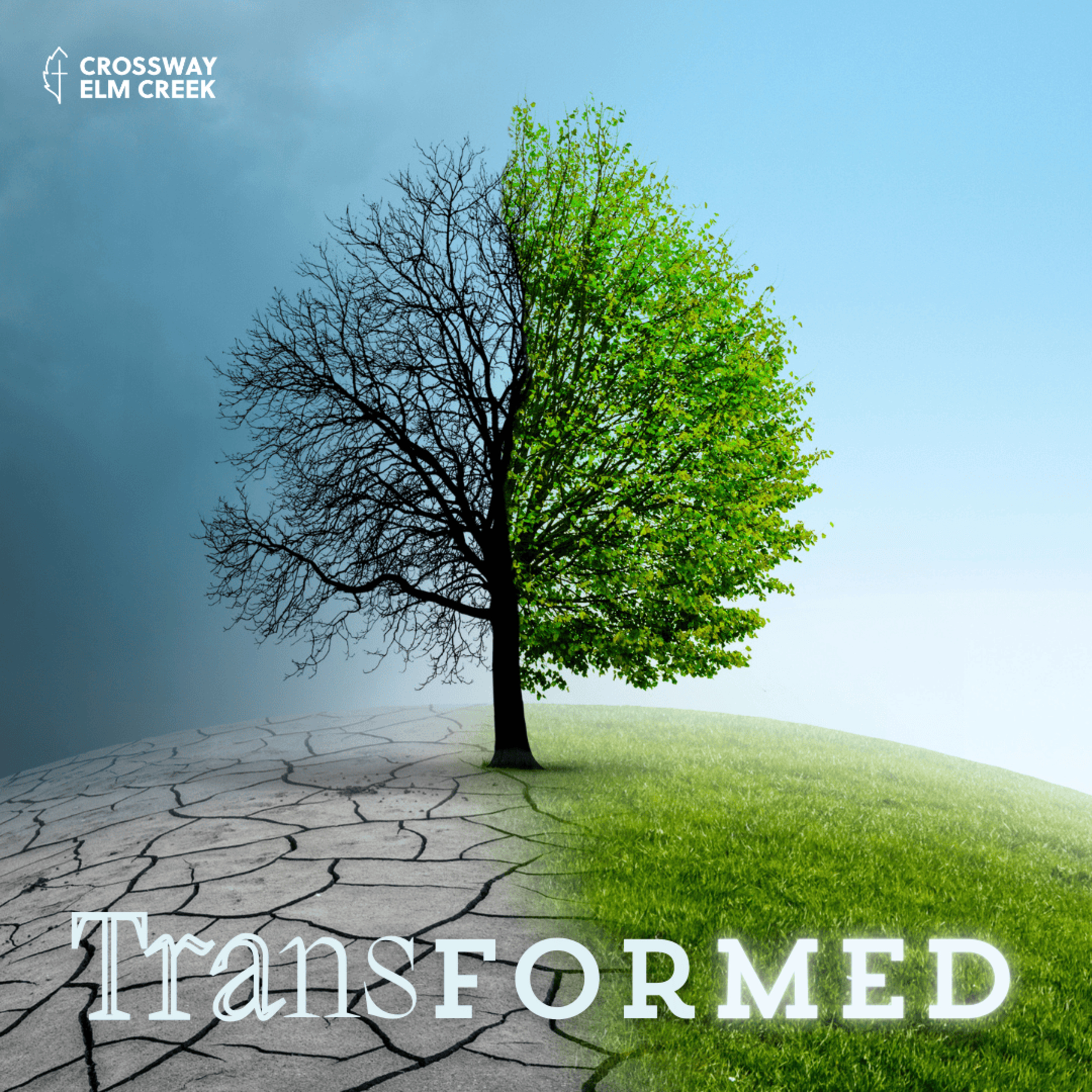 Transformed | 4. Family
