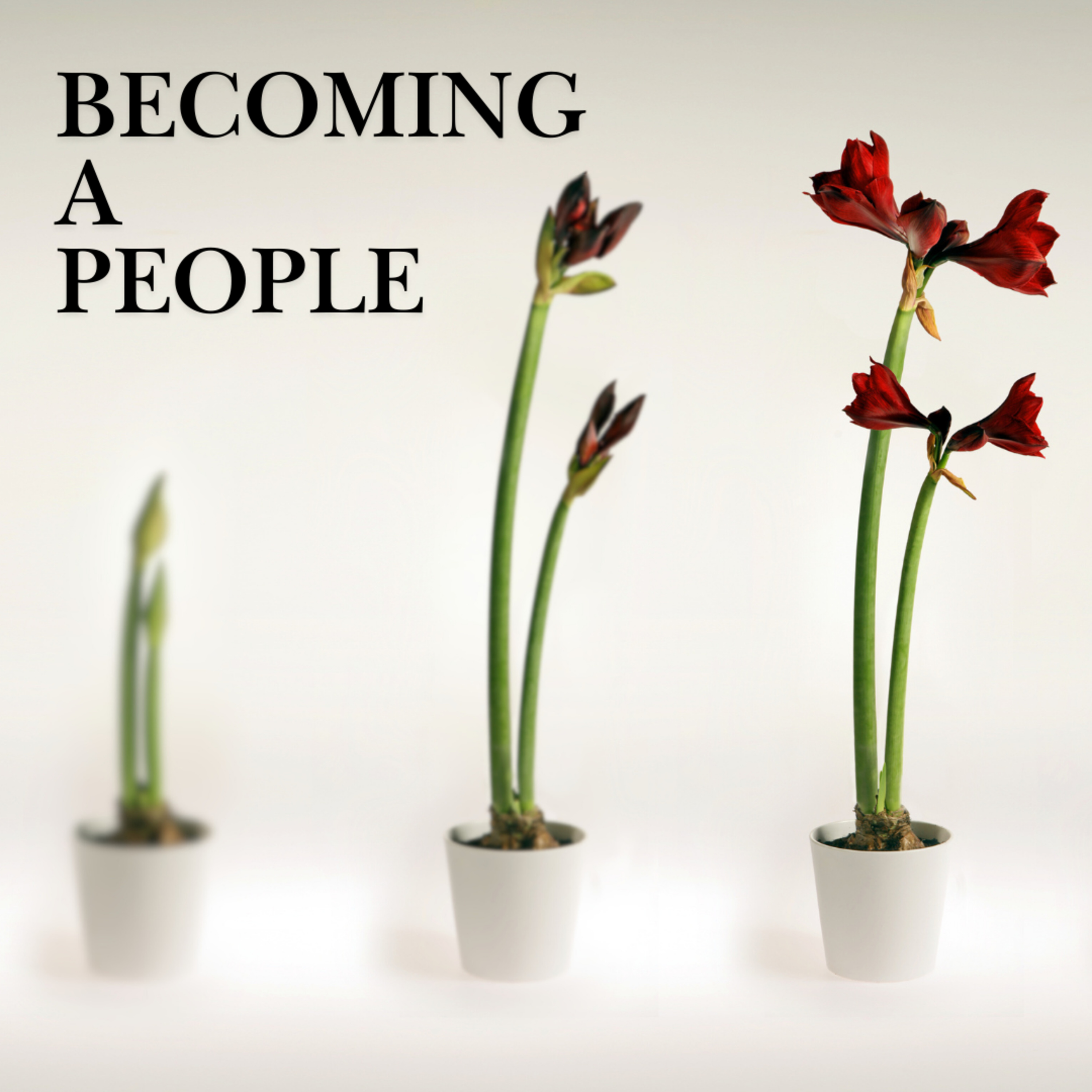 Becoming a People | 5. 10 Words pt. 2