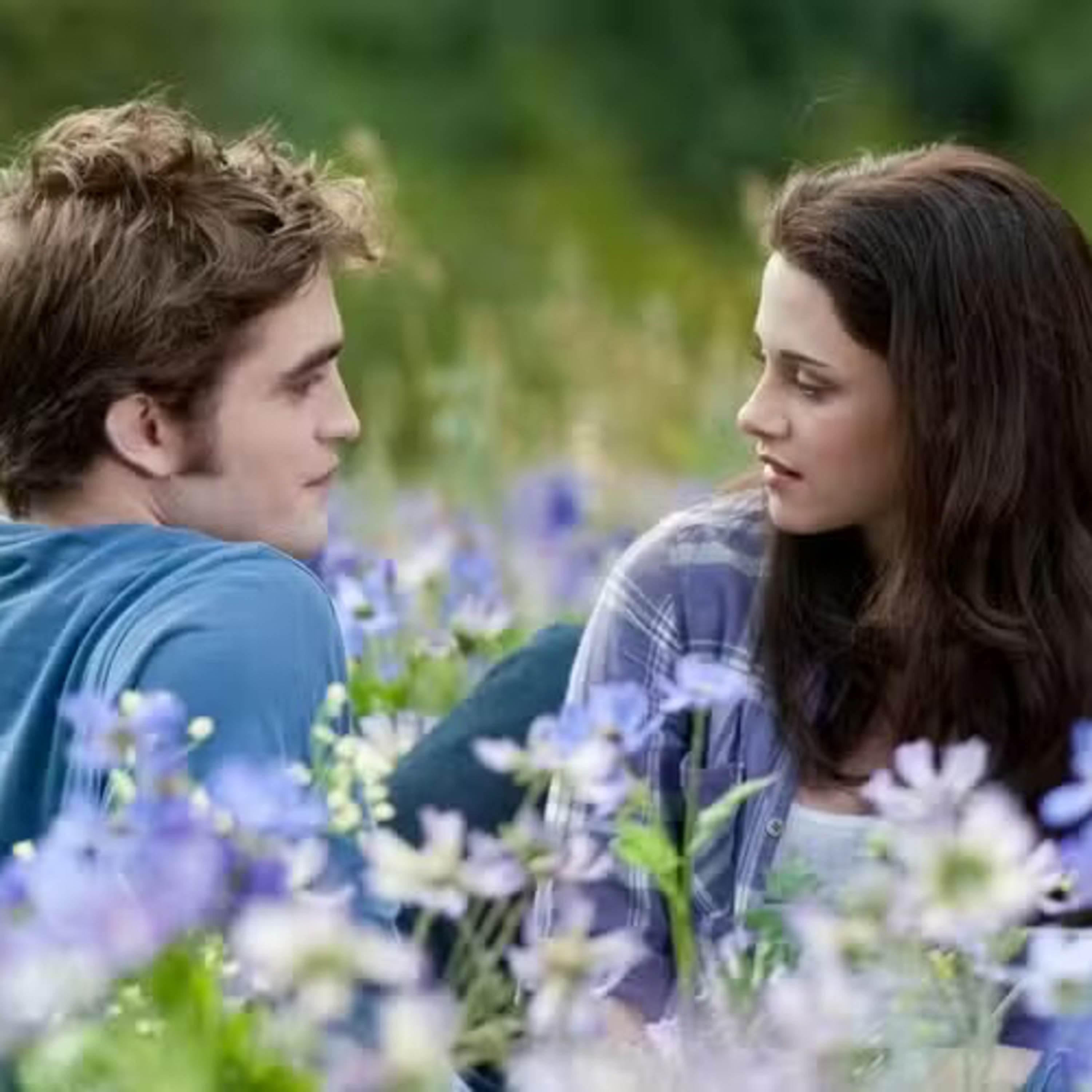 Twilight 20th Anniversary Edition Books: Release Date, Features, & Where To Buy