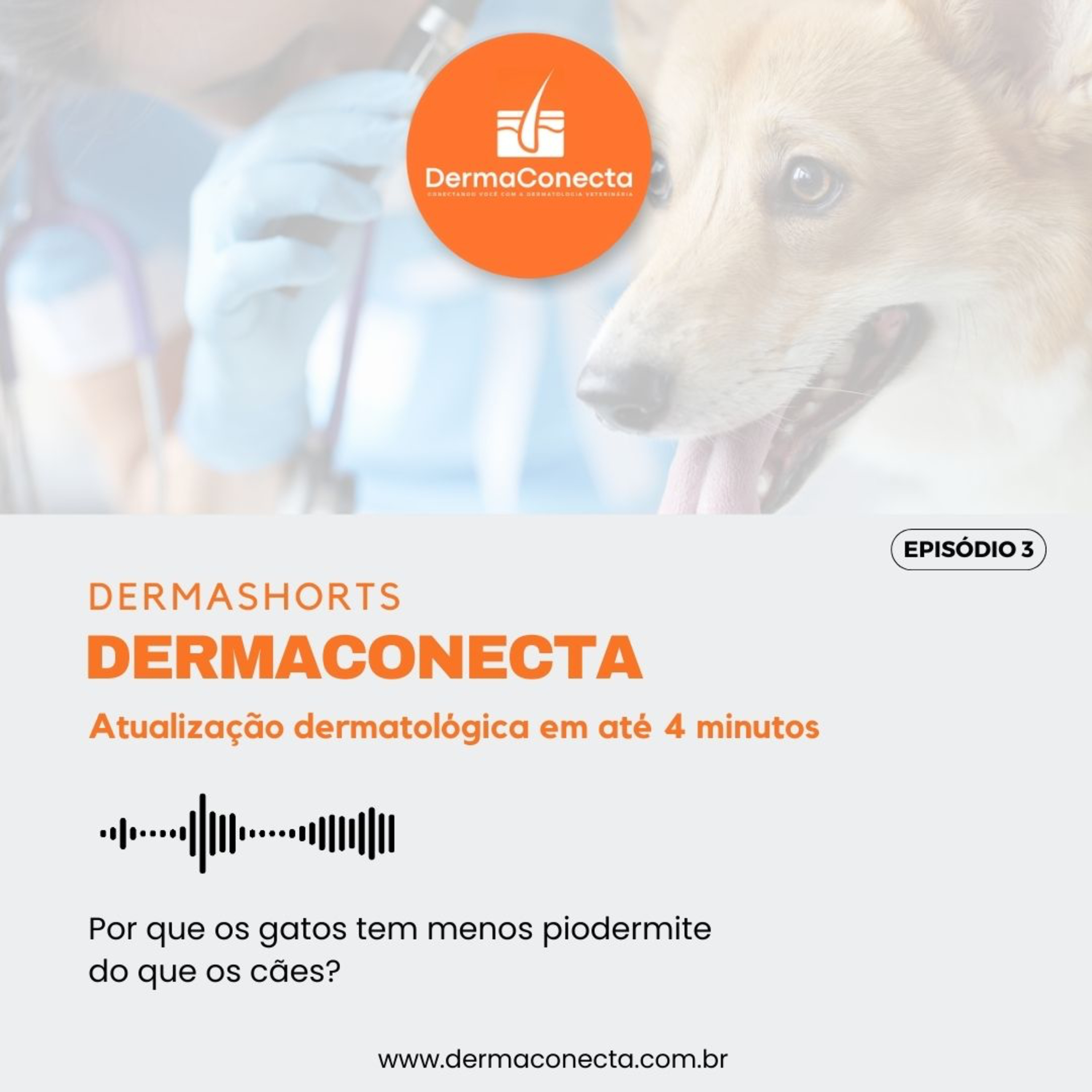 DermaShorts 03: Por que os gatos tem menos piodermite do que os cães? episode artwork