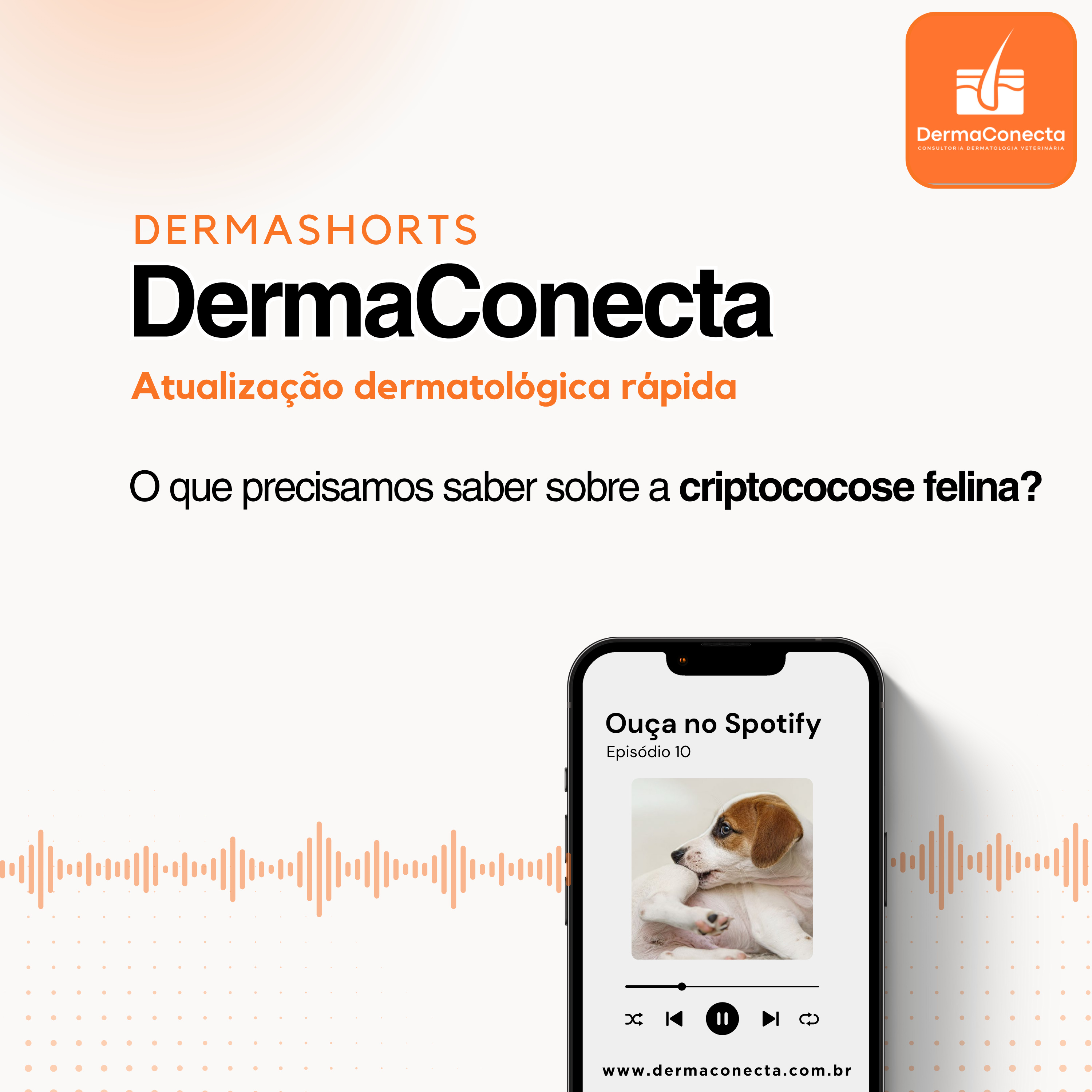O que precisamos saber sobre a criptococose felina? episode artwork
