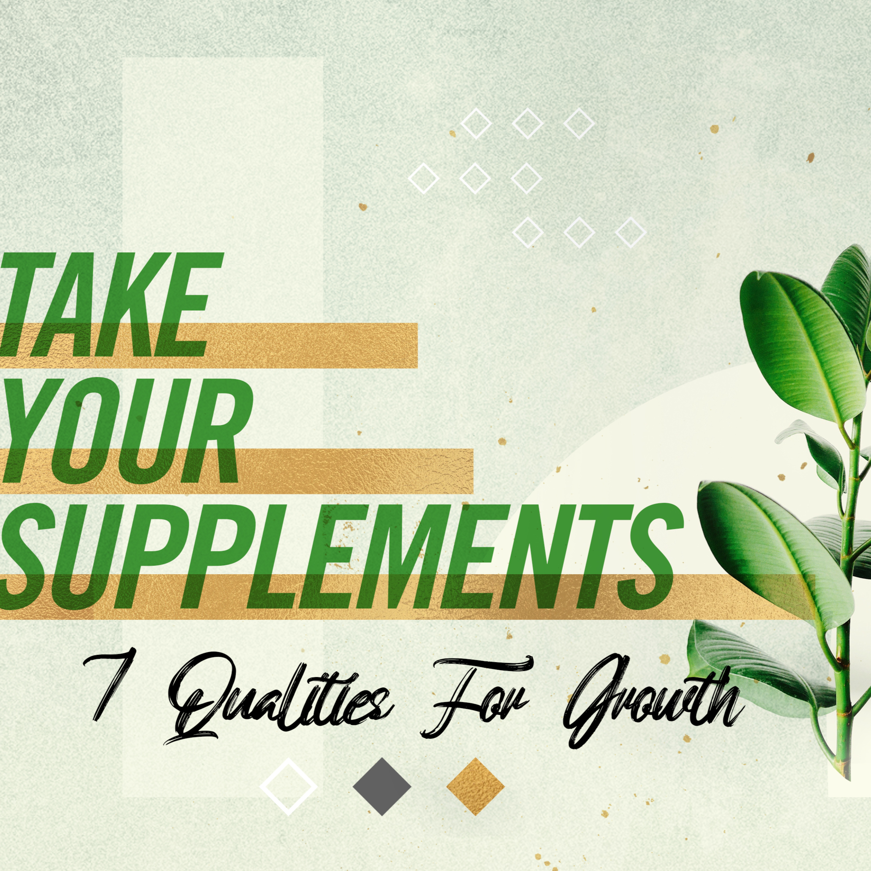 Take Your Supplements - Pastor James Safrit episode artwork