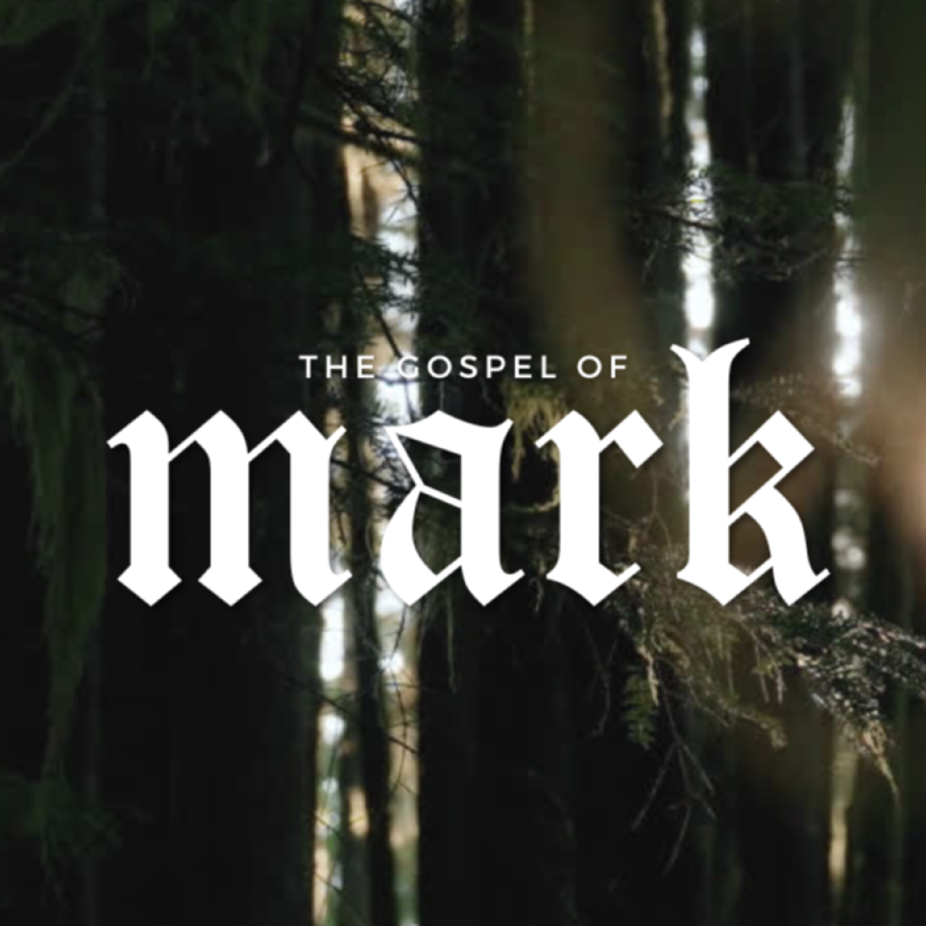 Characteristics of Great Faith | Study of Mark Volume III episode artwork