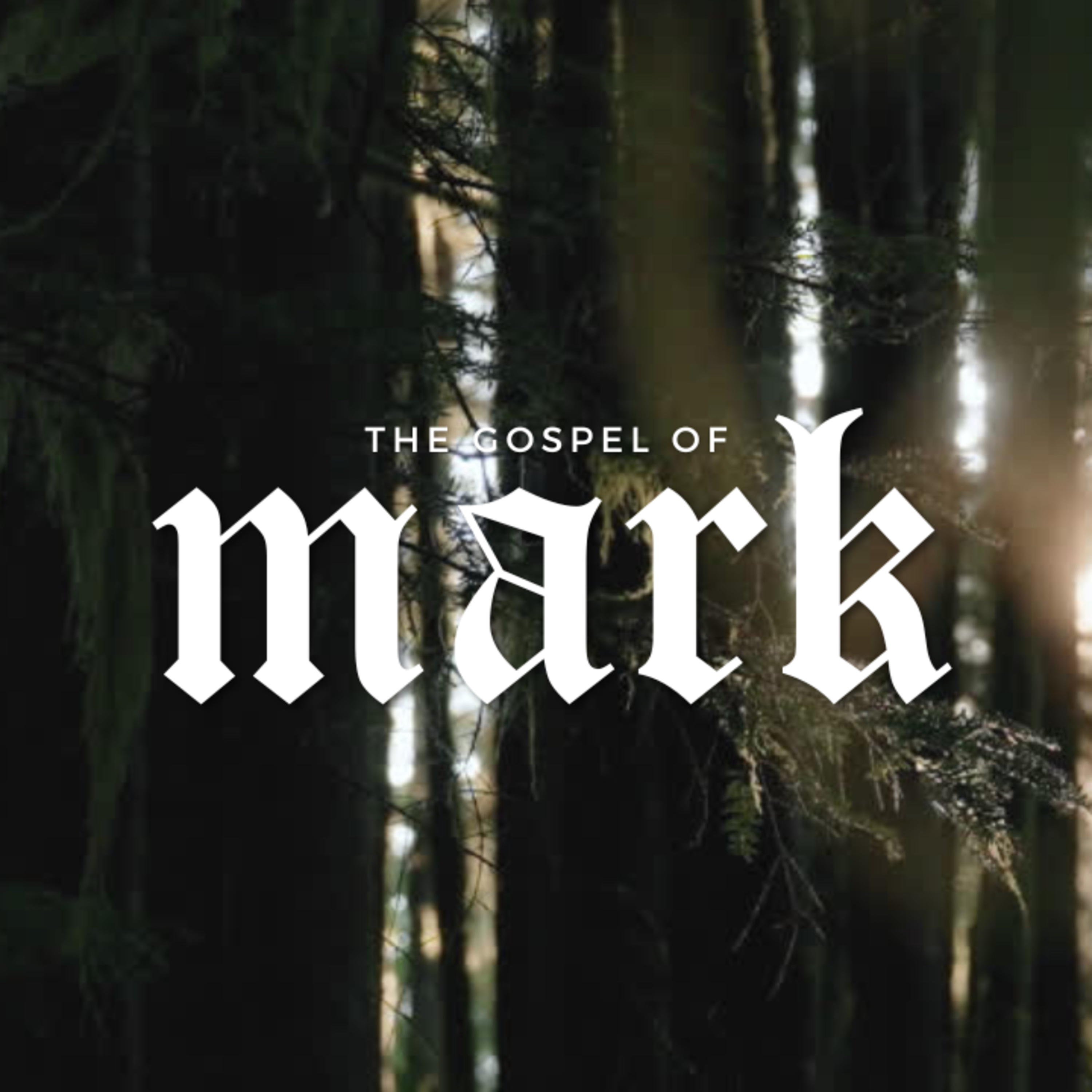 From a Huge Problem to a Great Miracle | Study of Mark Volume III episode artwork