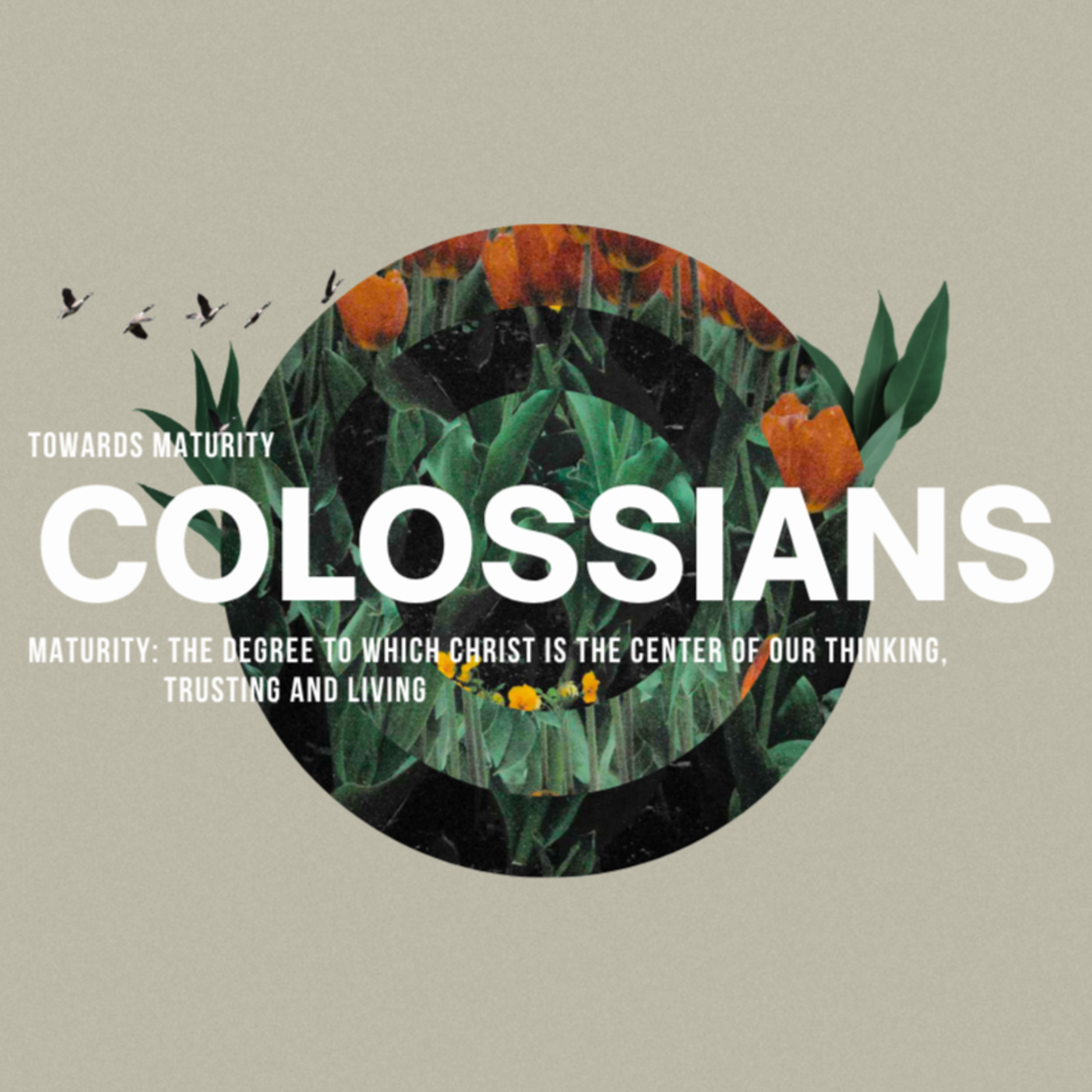 For The Sake of The Name | Colossians episode artwork