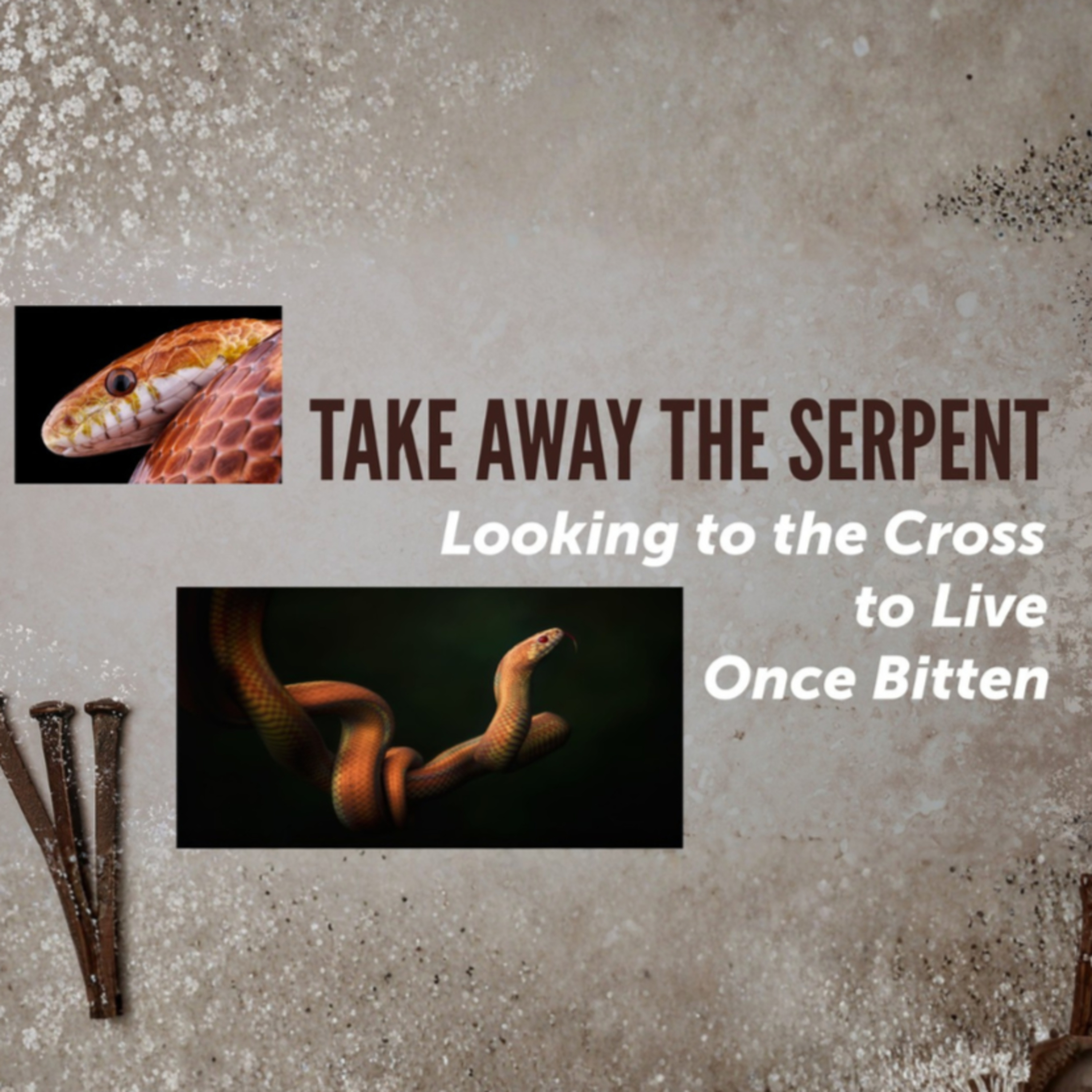 Take Away the Serpent | Good Friday episode artwork