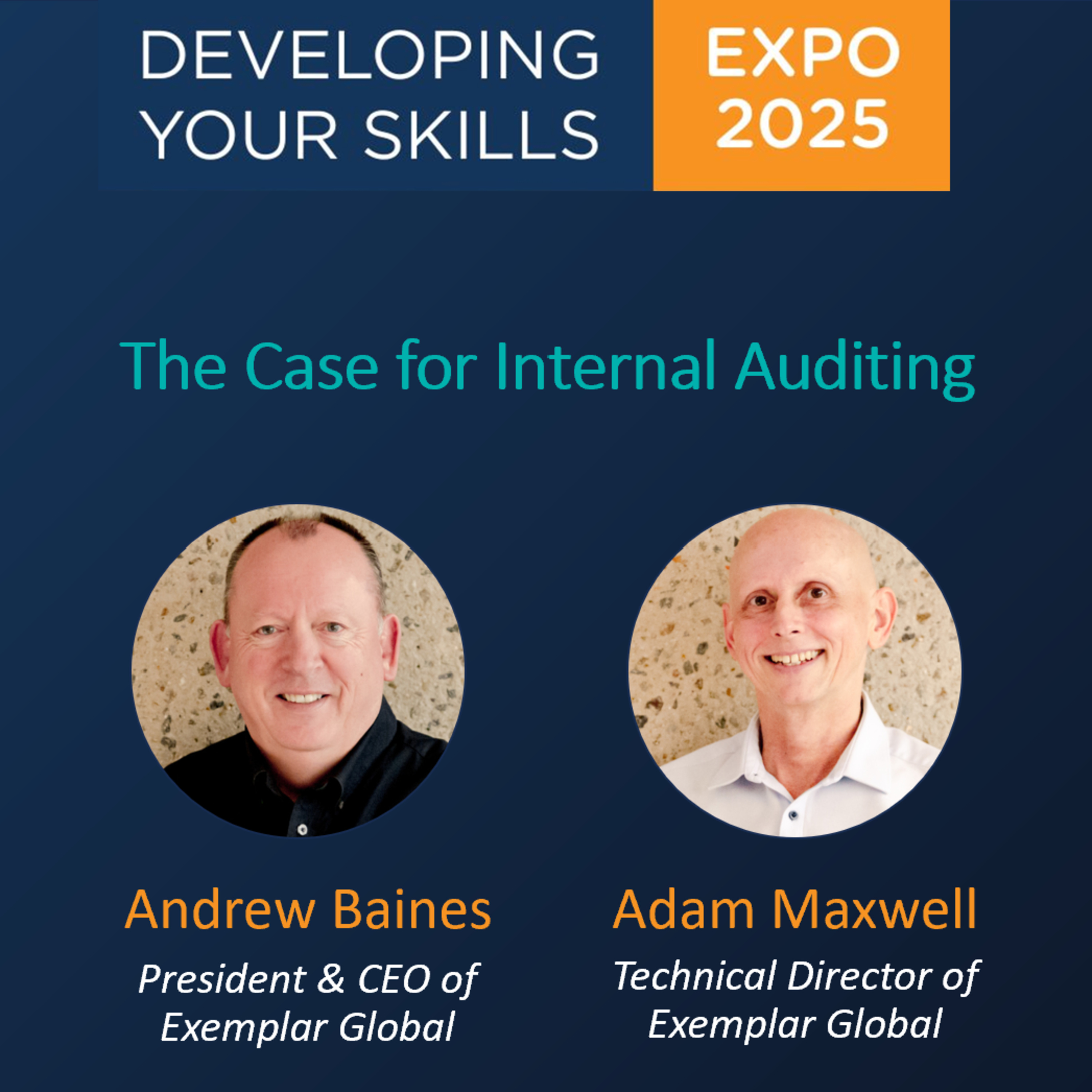 The Case for Internal Auditing episode artwork