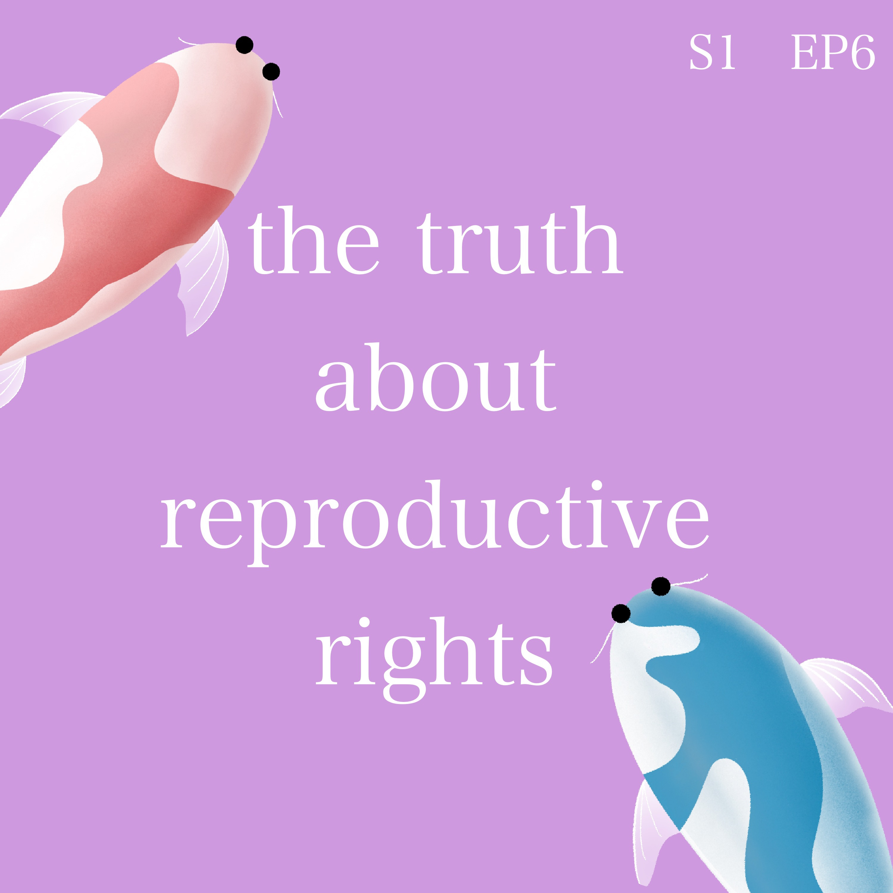 the truth about reproductive rights episode artwork